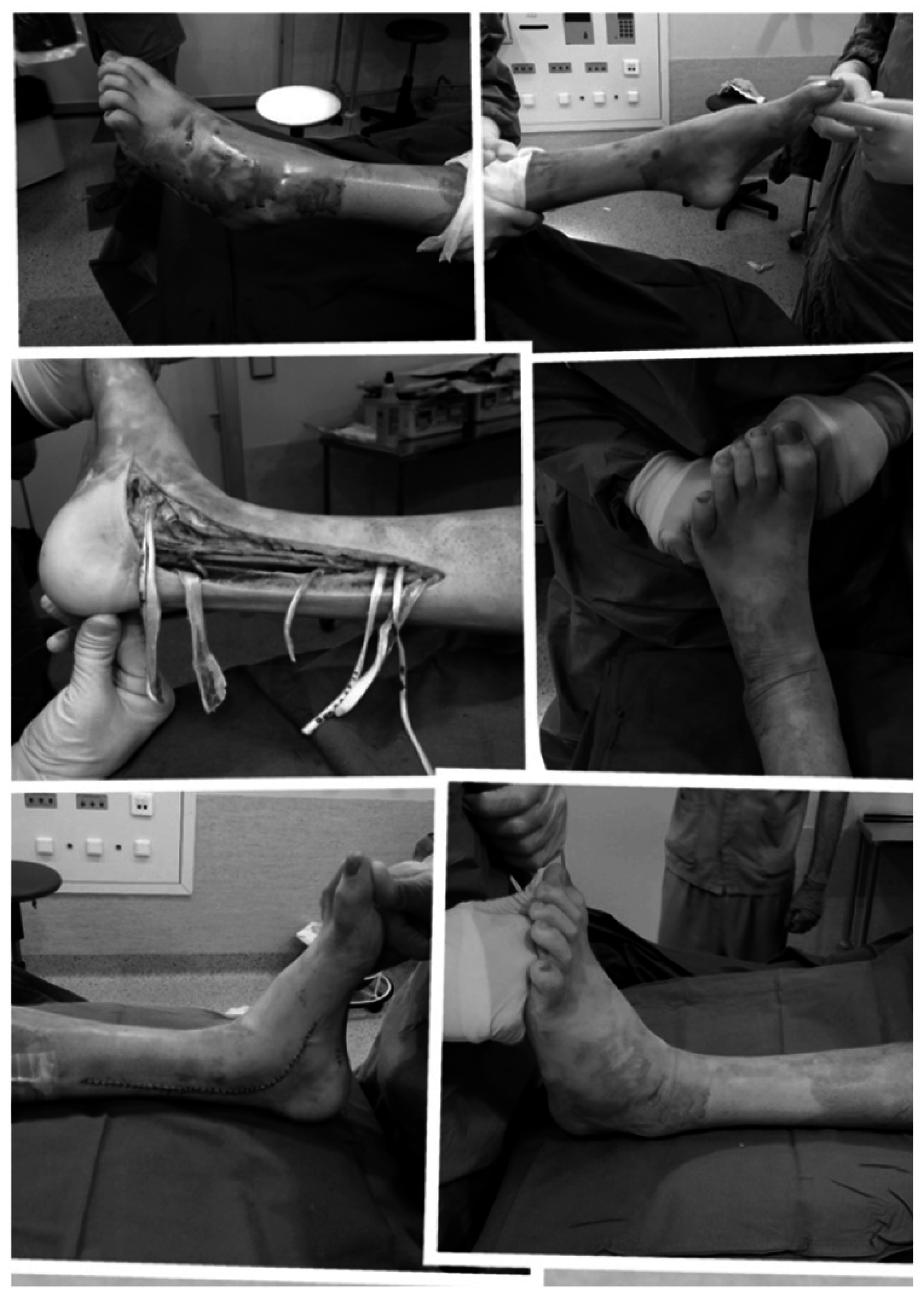 Ijms 16 26244 g003 1024