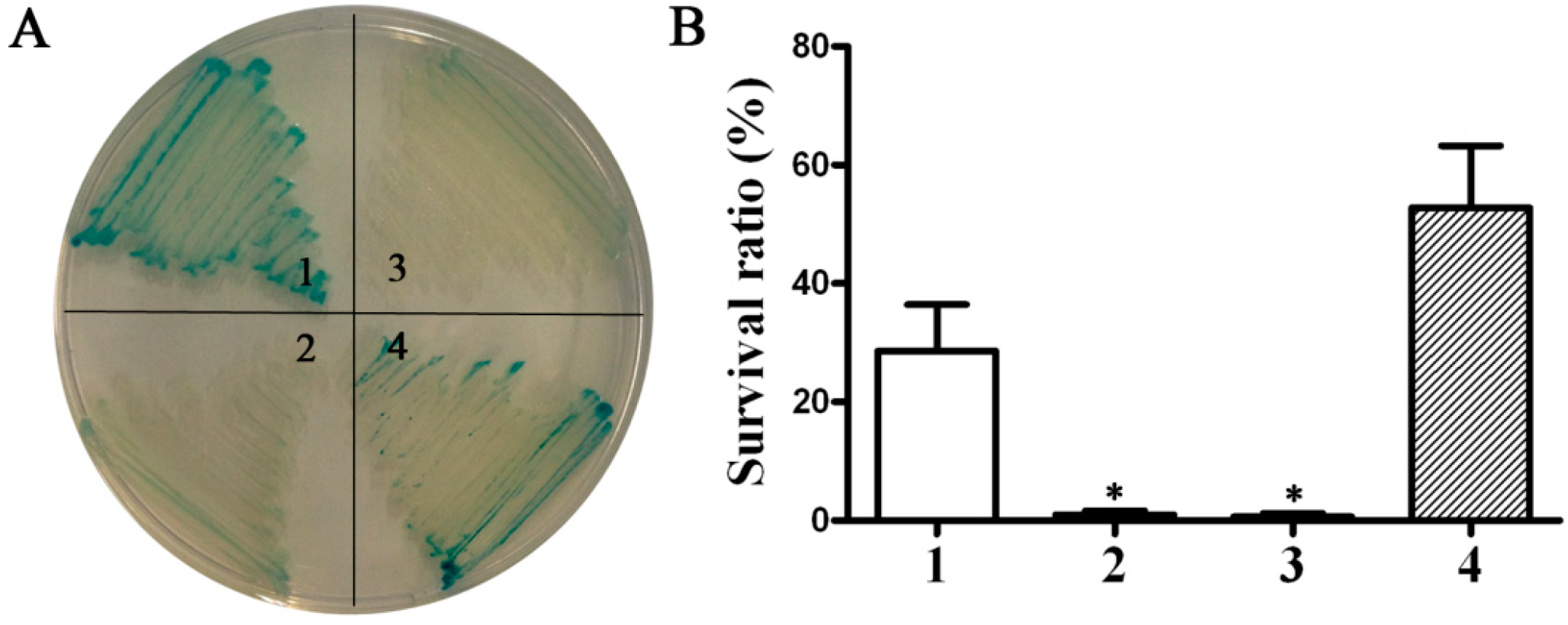 Ijms 17 00012 g001 1024
