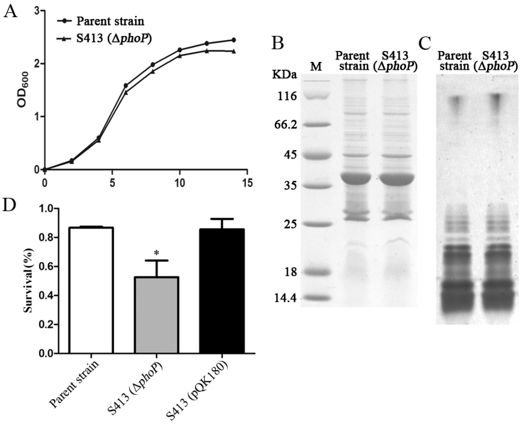 Ijms 17 00012 g003 1024