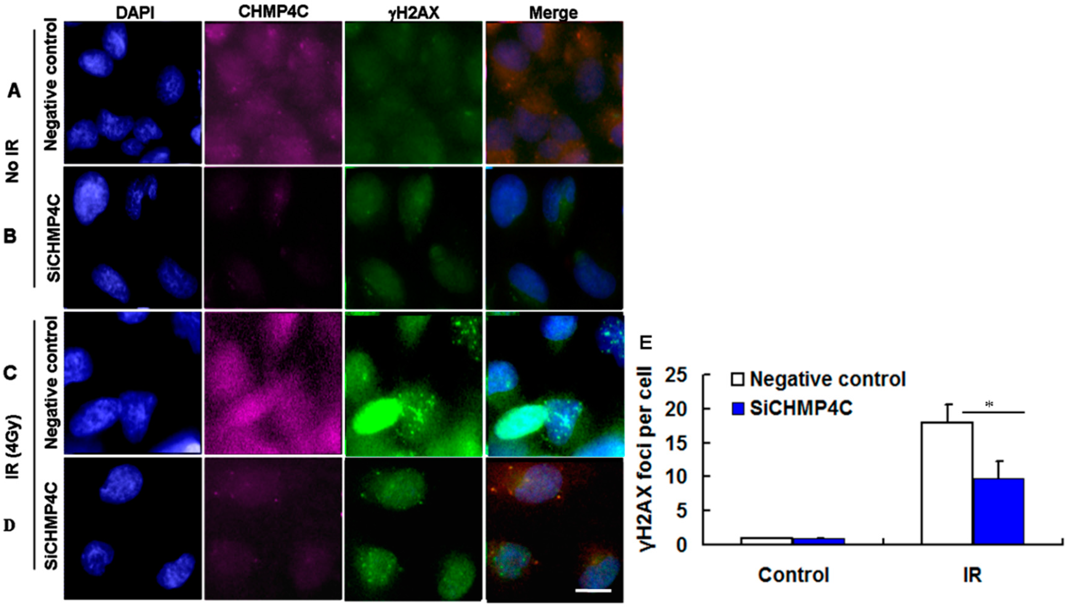 Ijms 17 00018 g007 1024