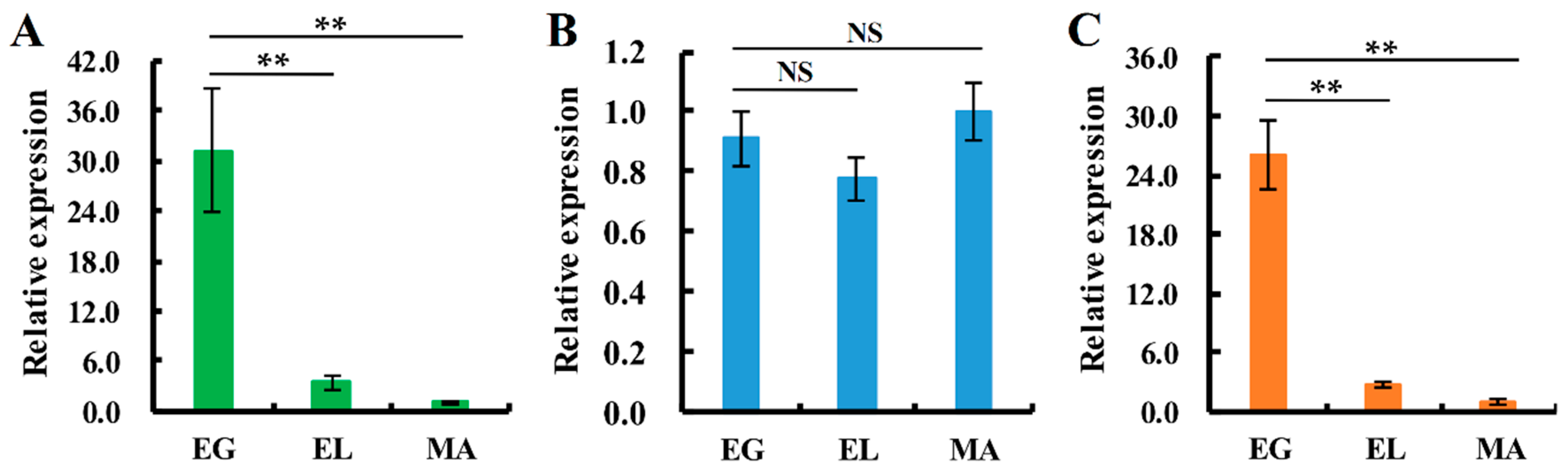 The Sequence Characteristics and Expression Models Reveal