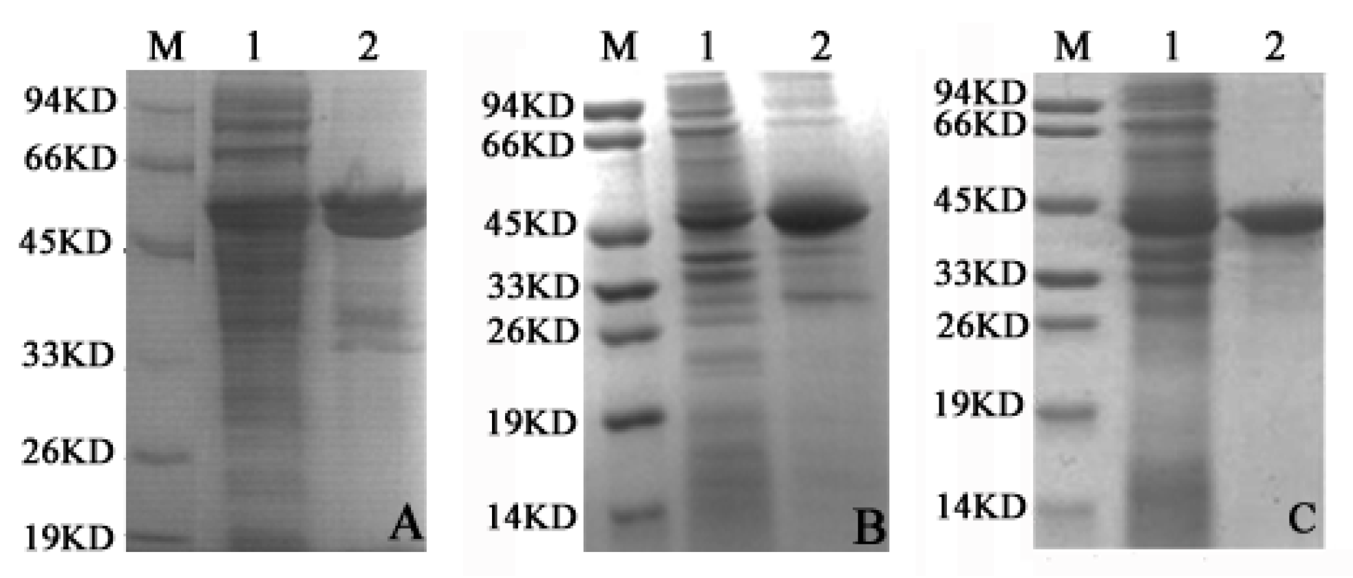 Ijms 17 00039 g002