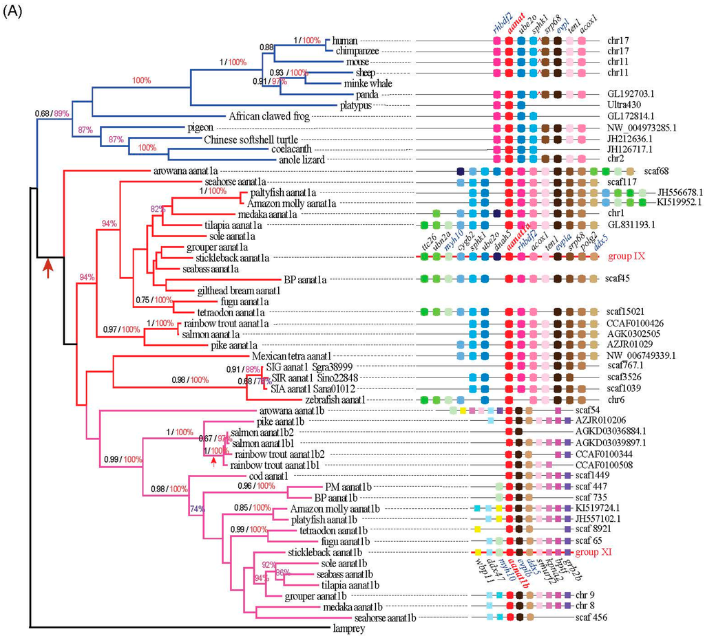 IJMS Special Issue Fish Molecular Biology