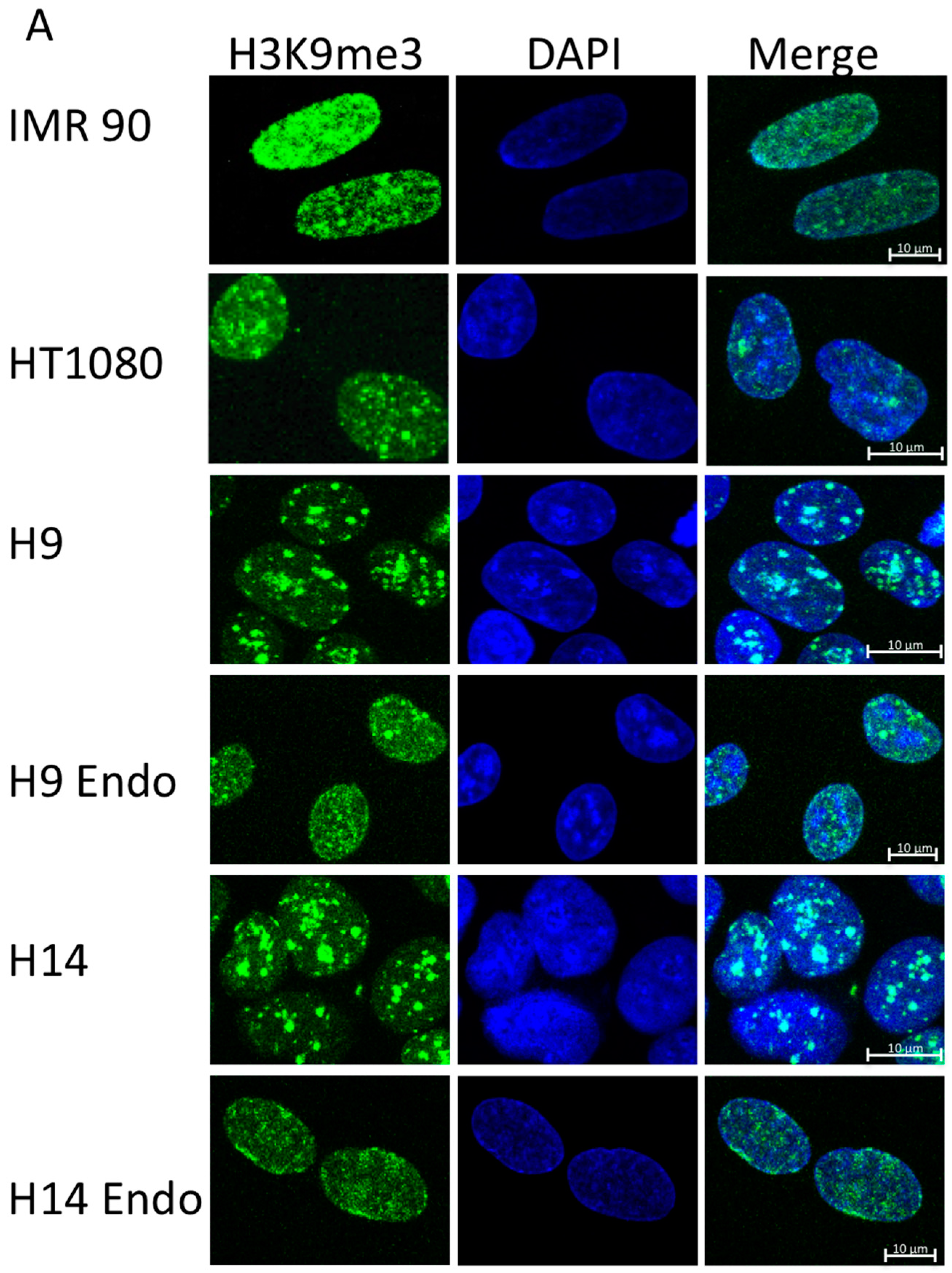 Ijms 17 00058 g001a