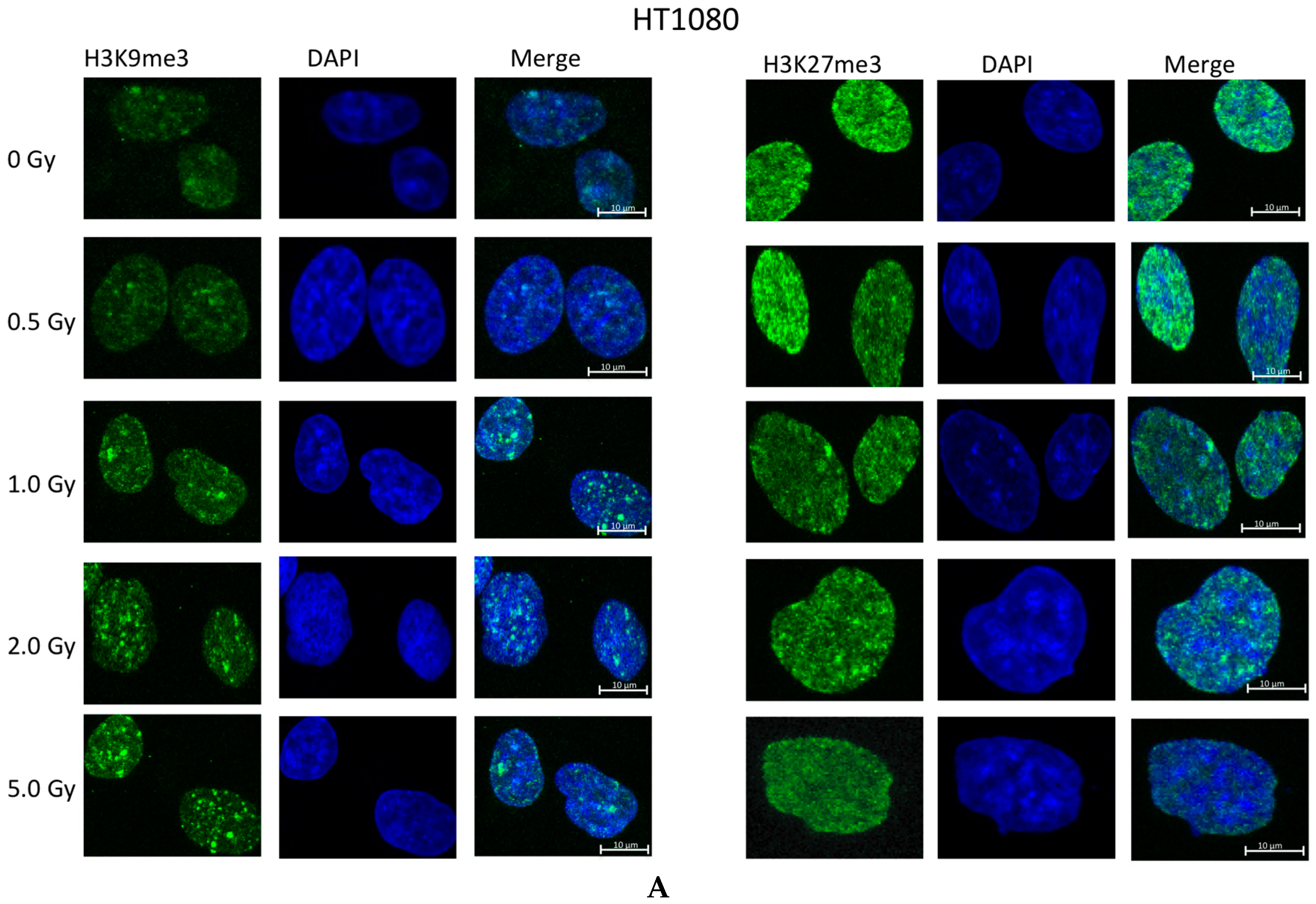 Ijms 17 00058 g002a