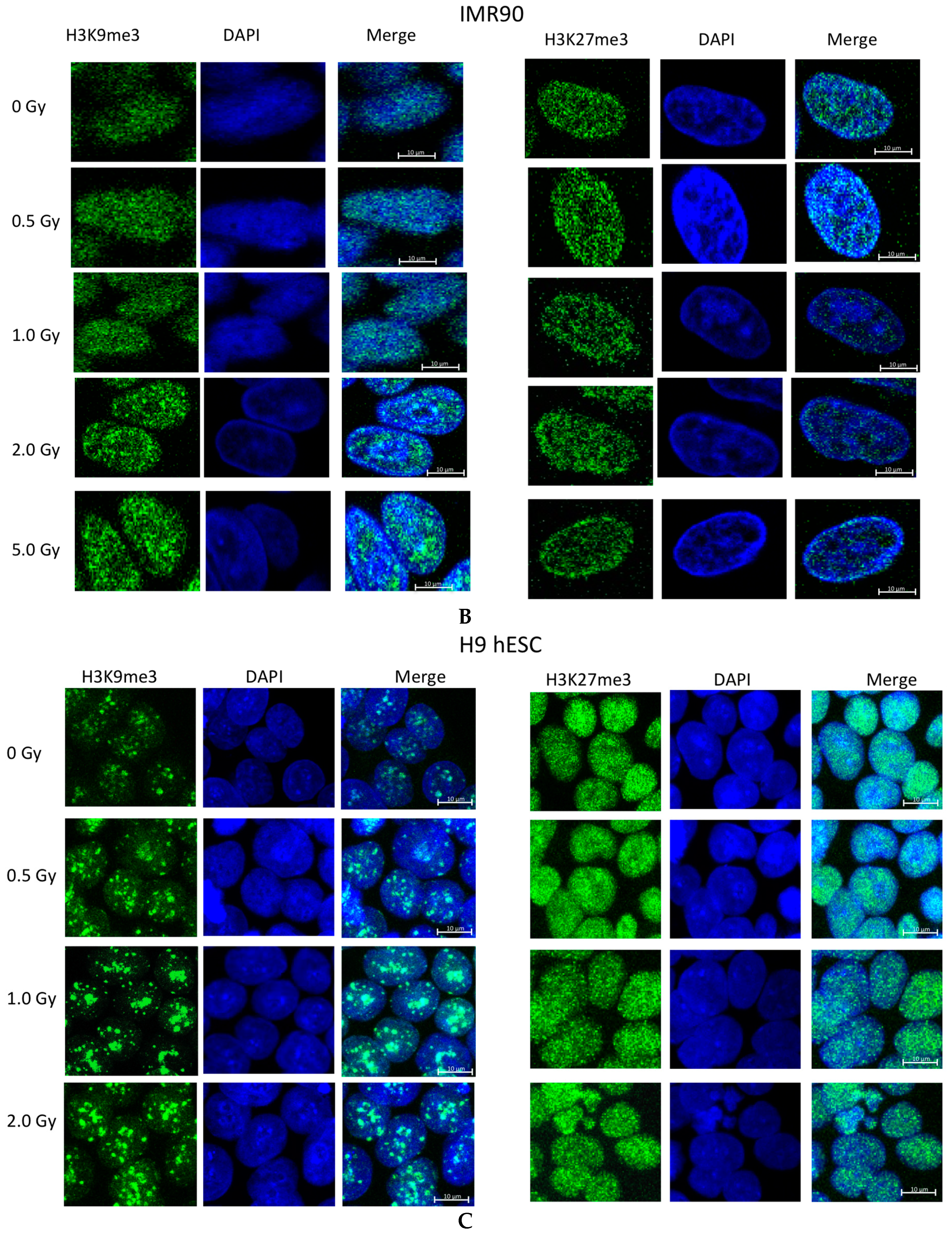 Ijms 17 00058 g002b