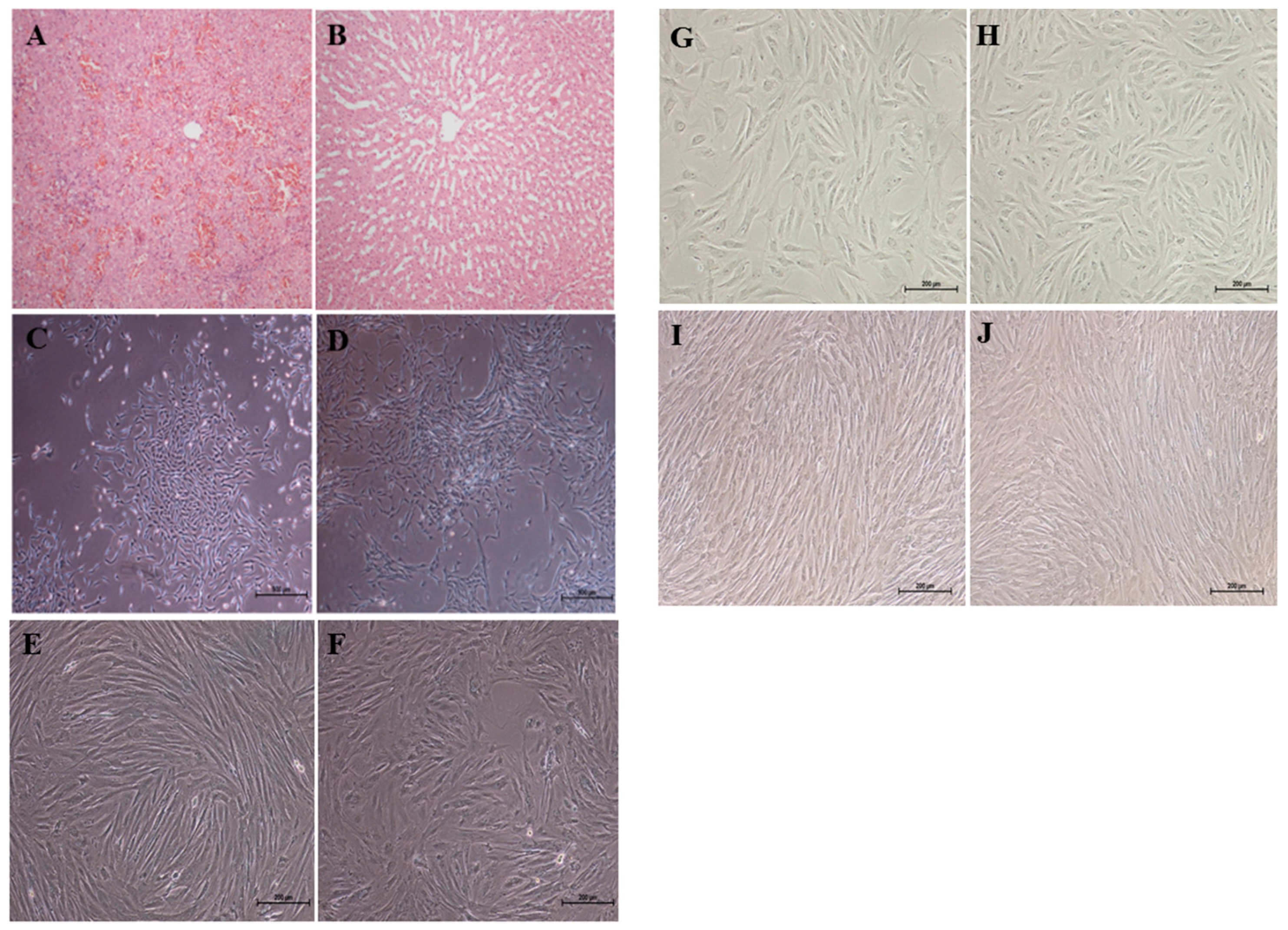 Ijms 17 00062 g001 1024