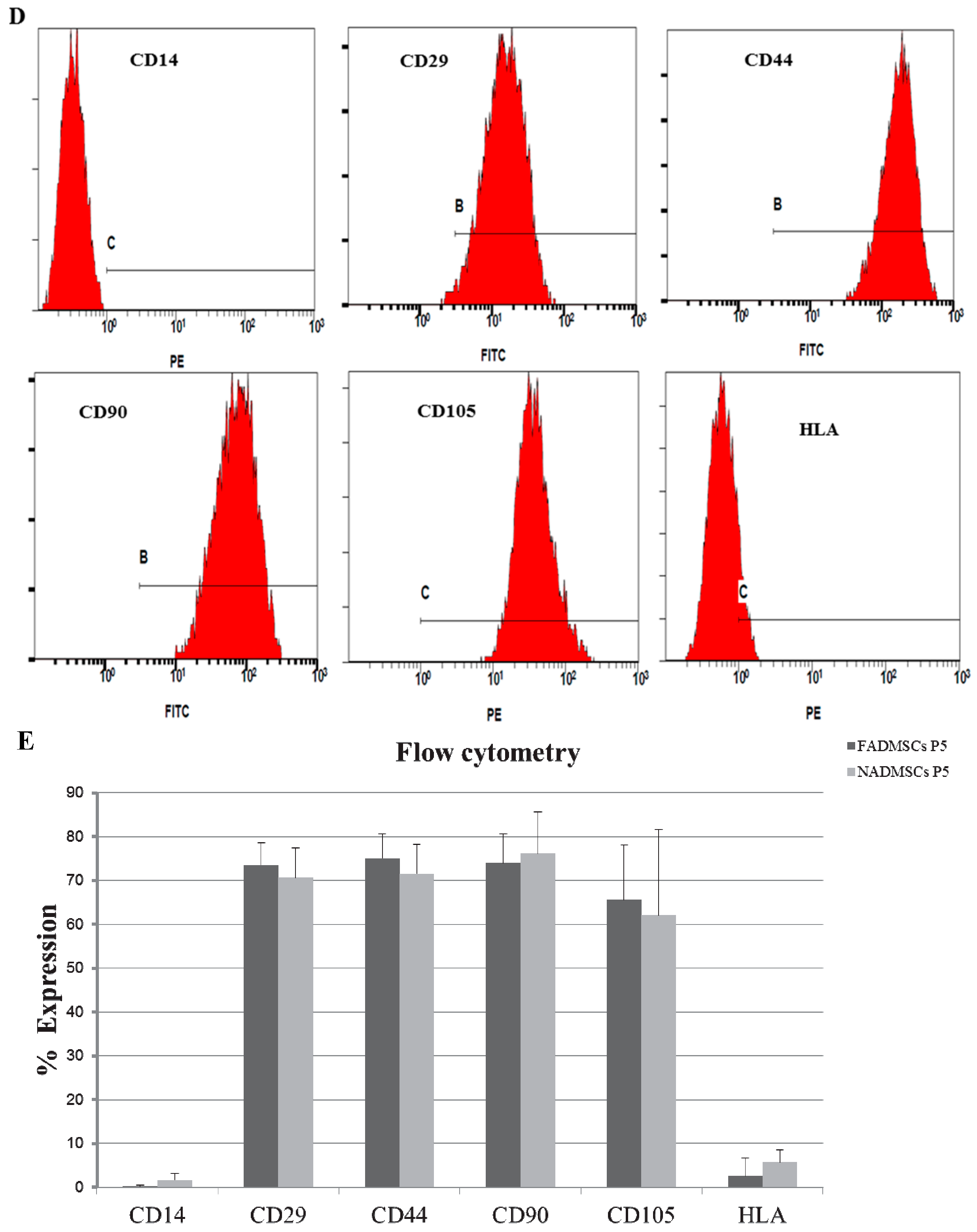 Ijms 17 00062 g004b 1024