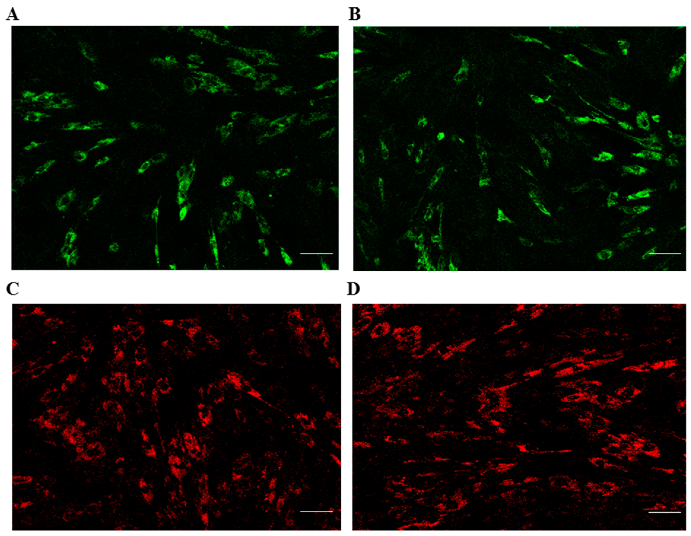Ijms 17 00062 g005 1024