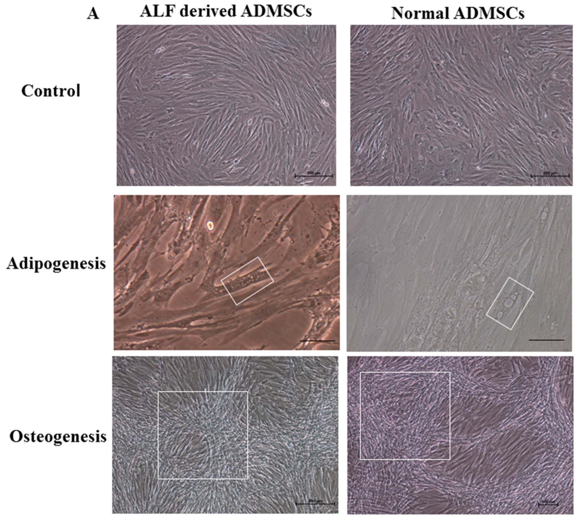 Ijms 17 00062 g006a 1024