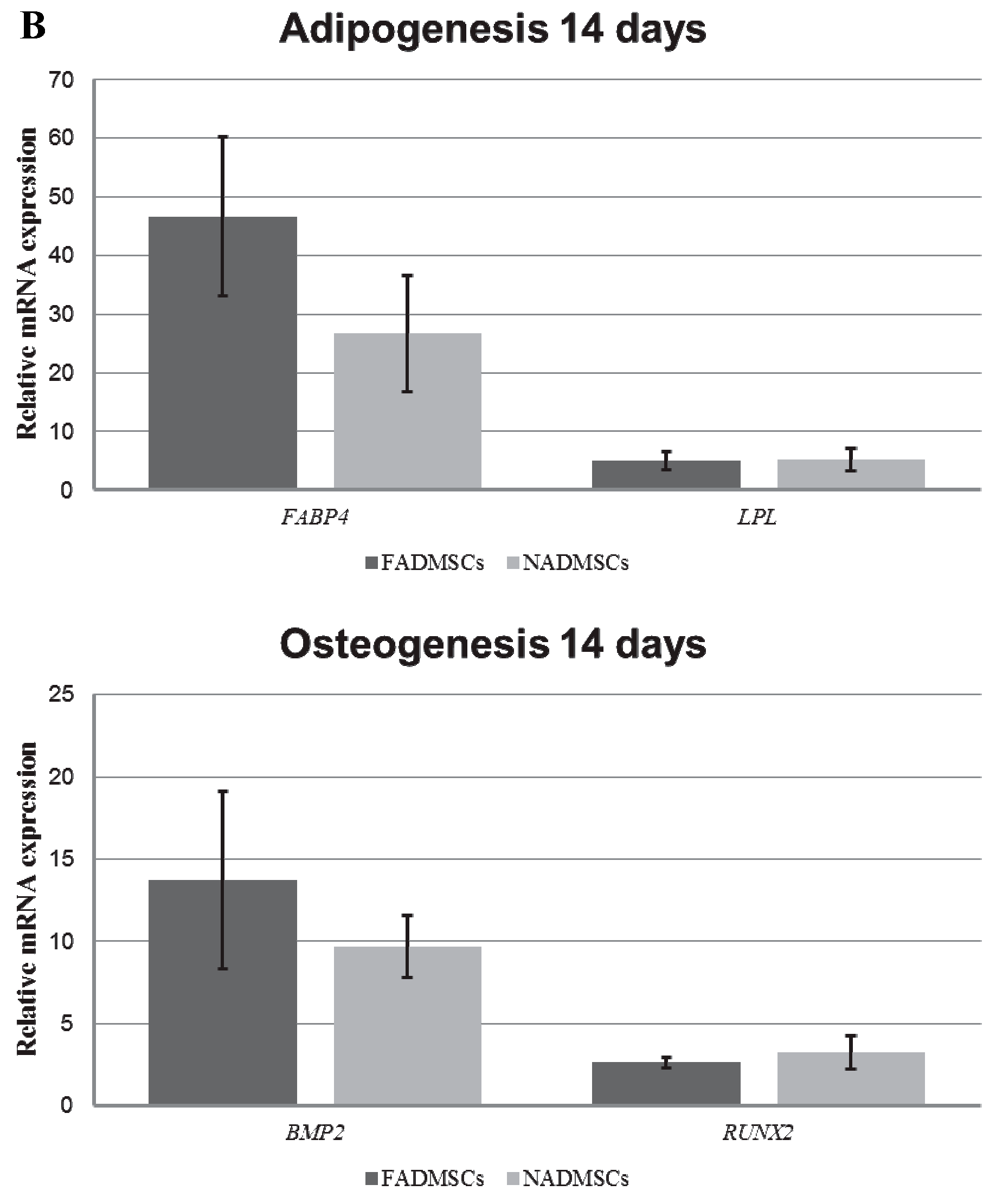 Ijms 17 00062 g006b 1024