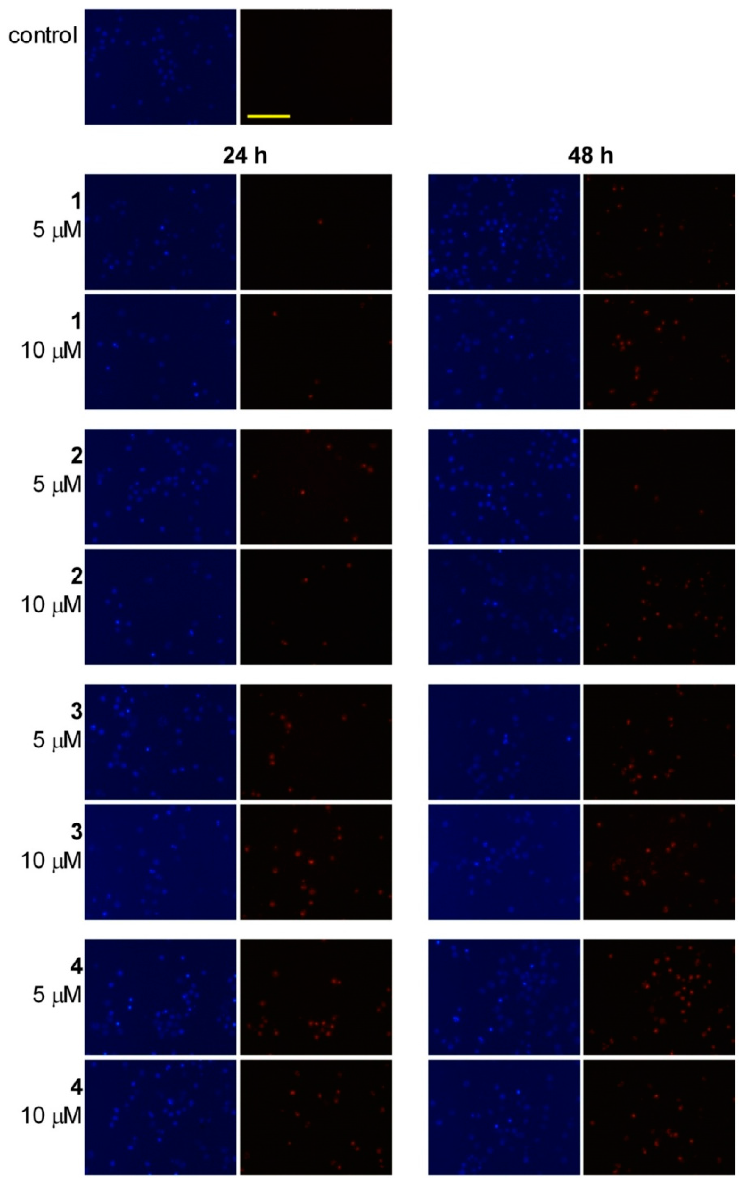 Ijms 17 00083 g007