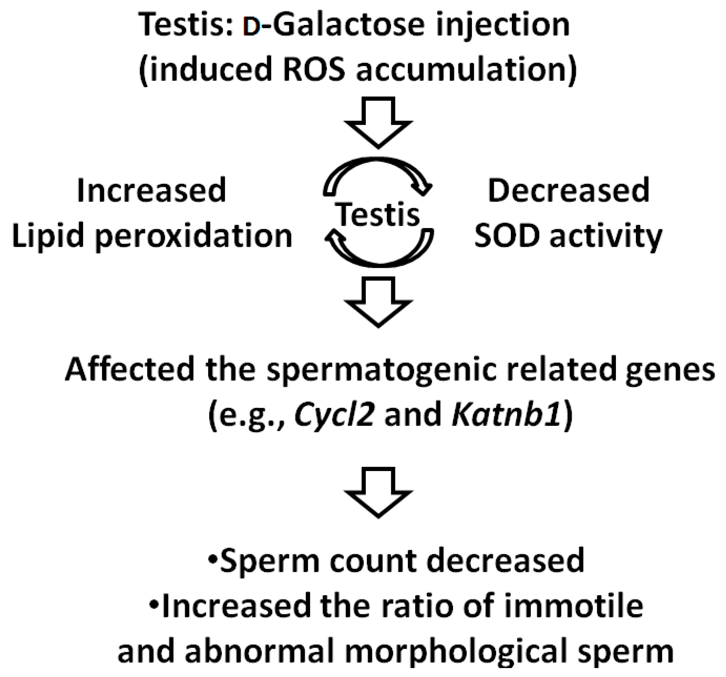 Ijms 17 00098 g005