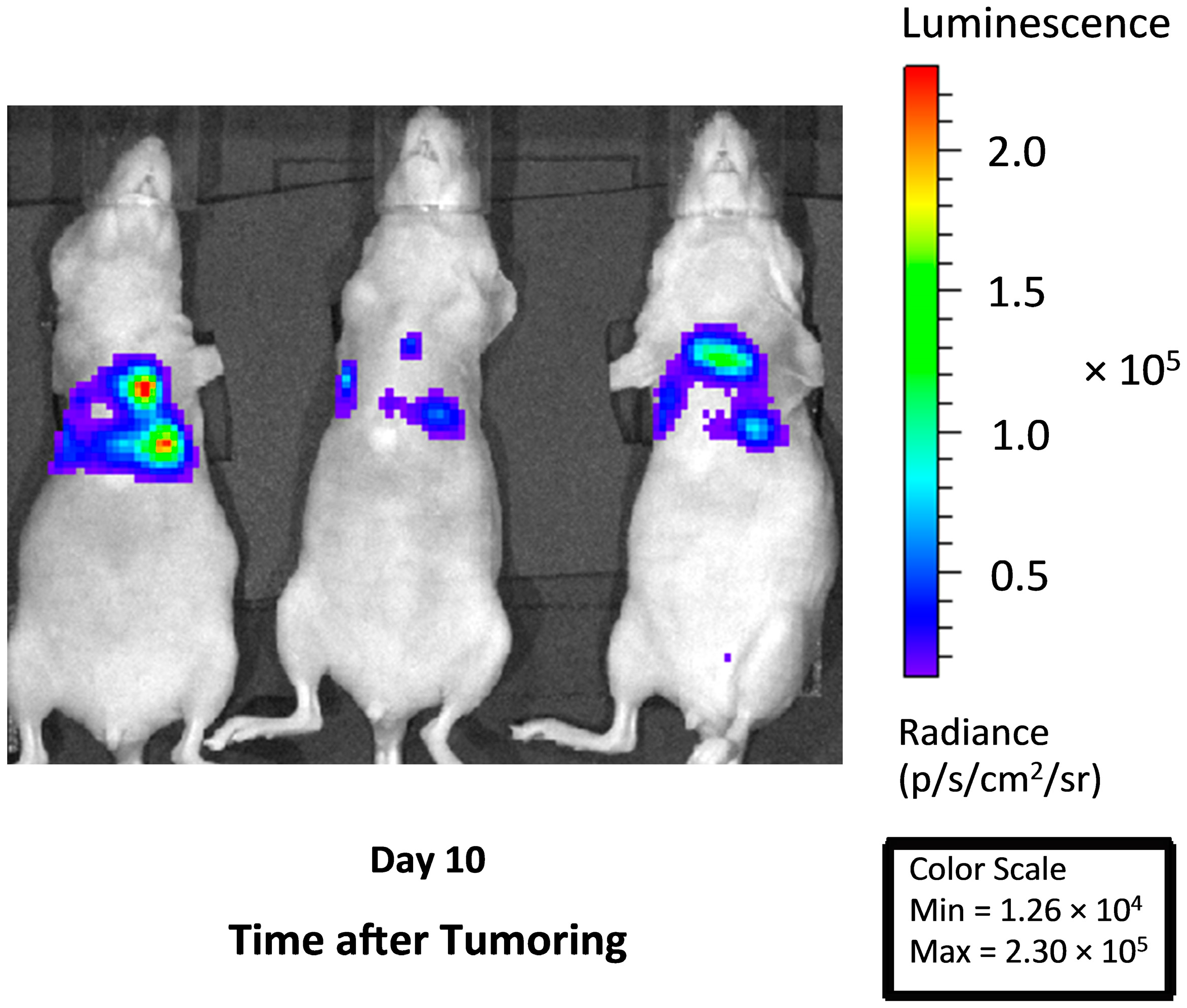 Ijms 17 00101 g001 1024