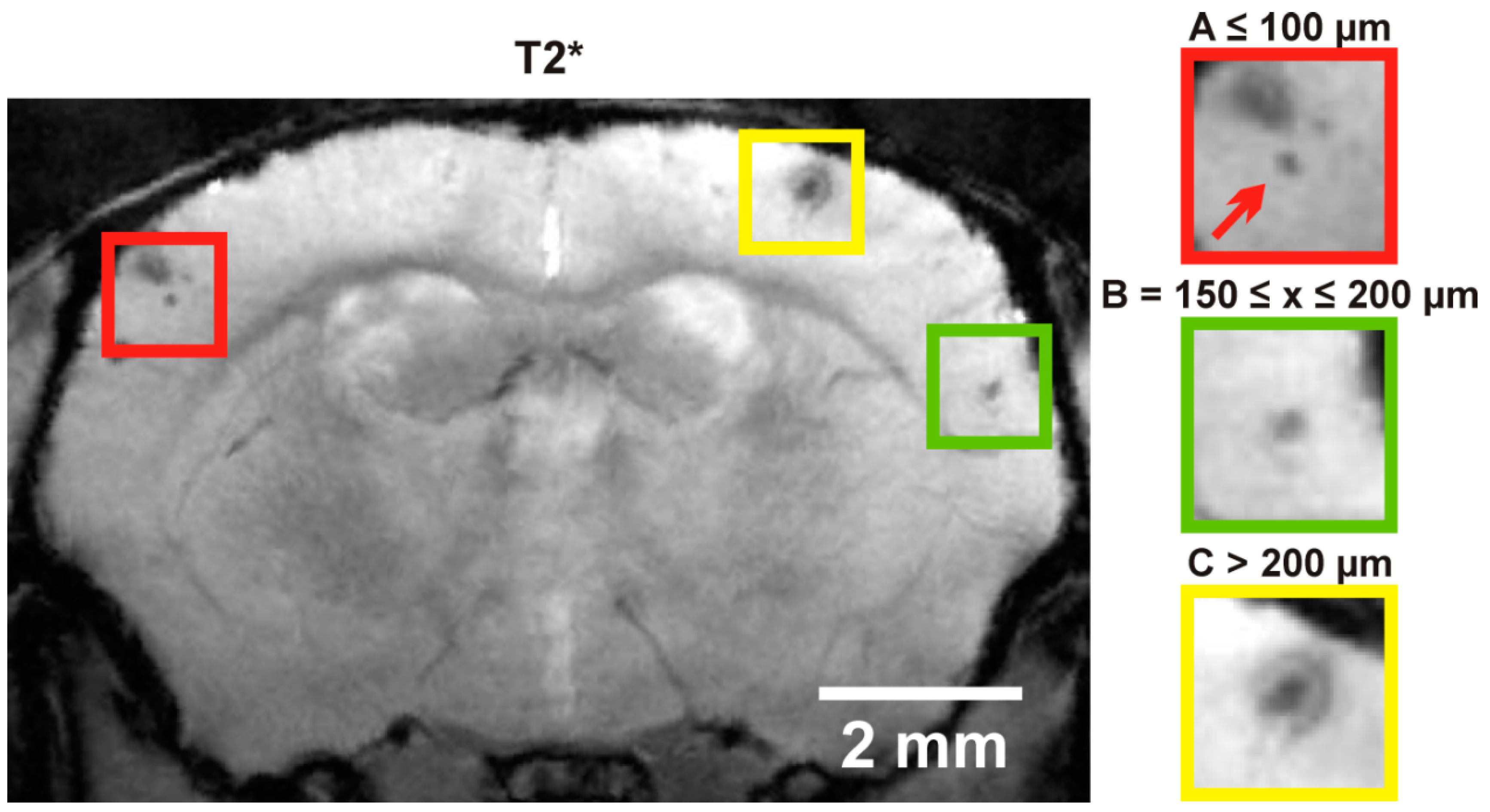 Ijms 17 00126 g004