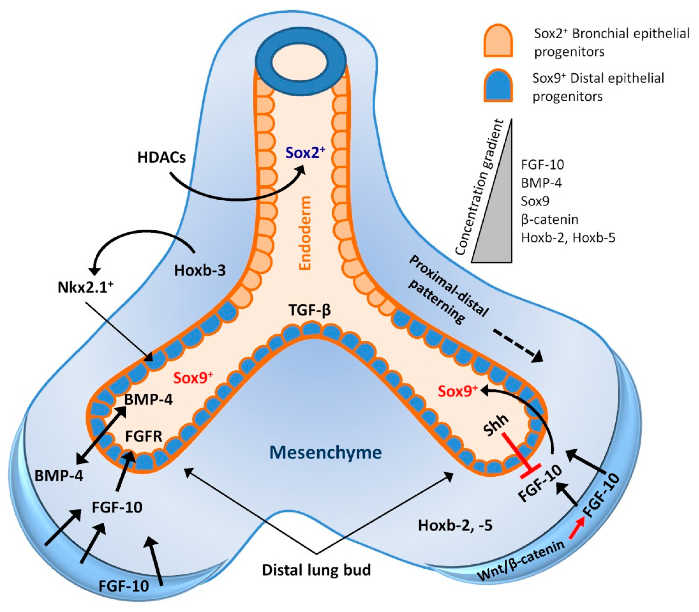 Copd Centre Uk - copd blog i