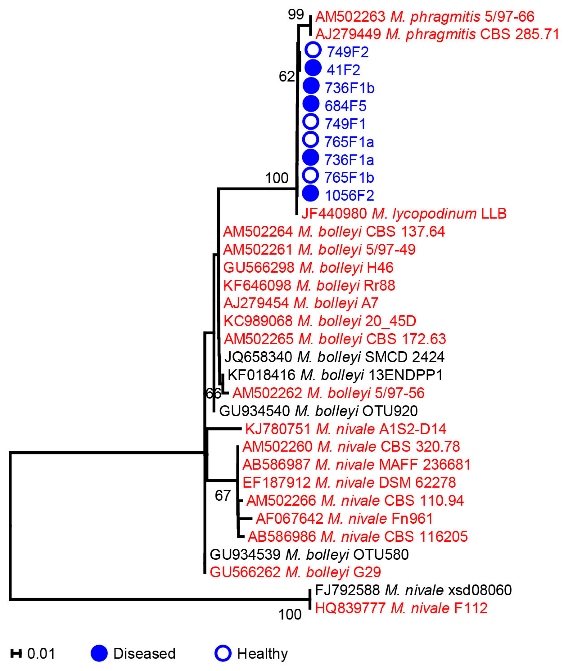 Ijms 17 00140 g002