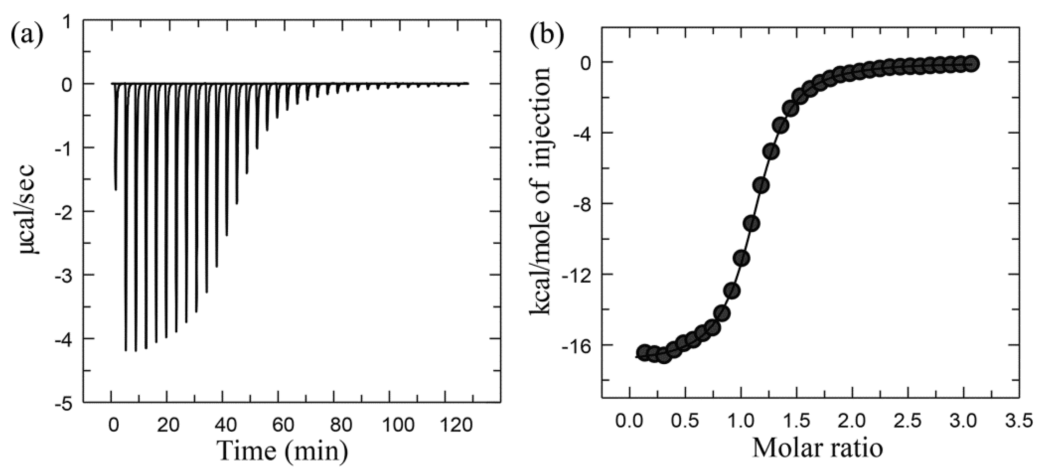 Ijms Free Full Text Insights Into Protein Ligand