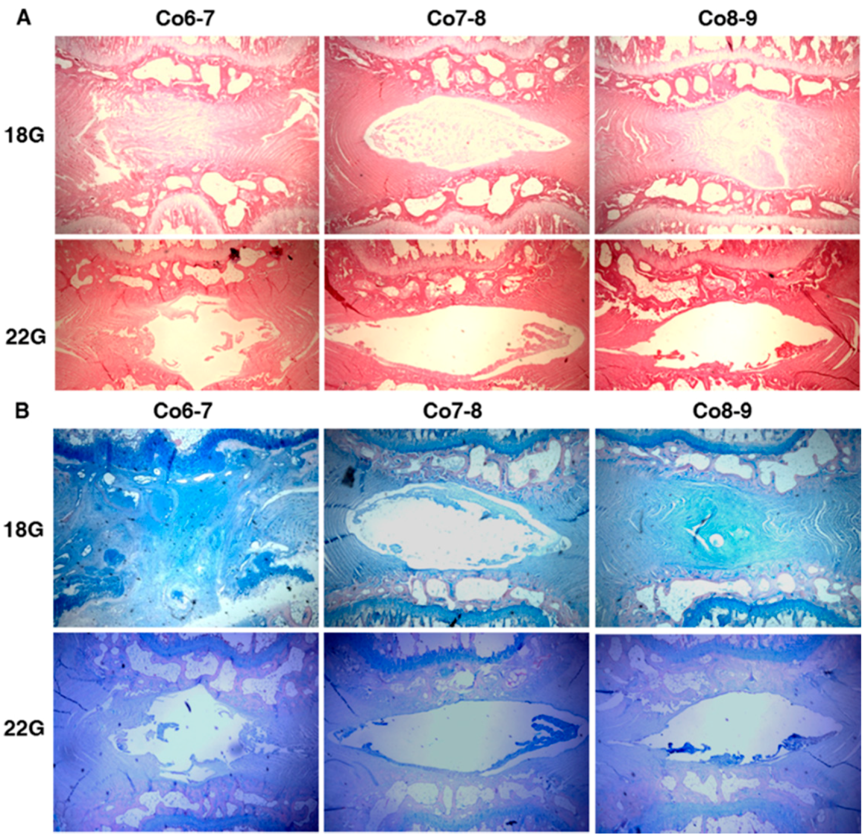 Ijms 17 00147 g001 1024