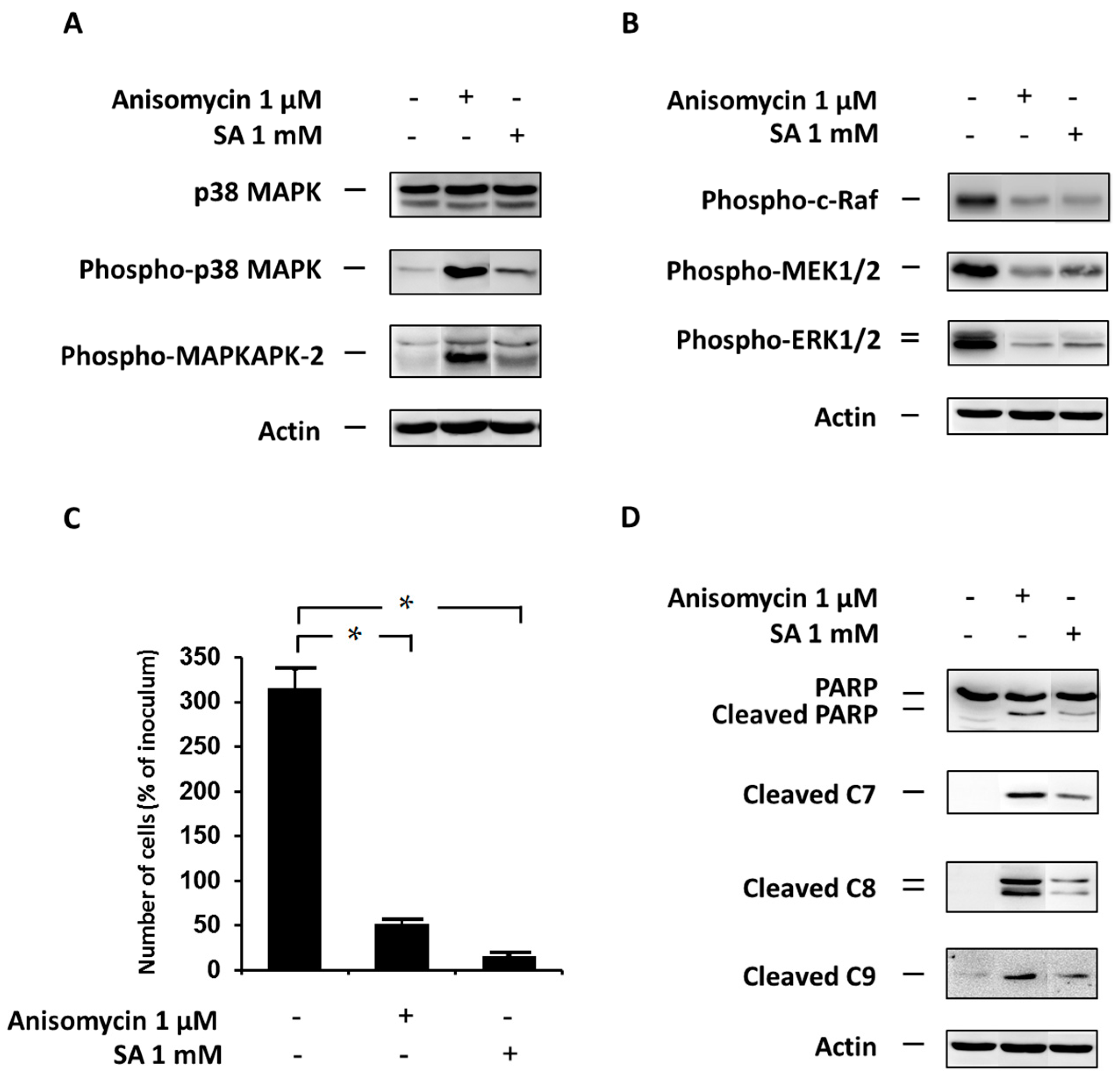 Ijms 17 00159 g005 1024