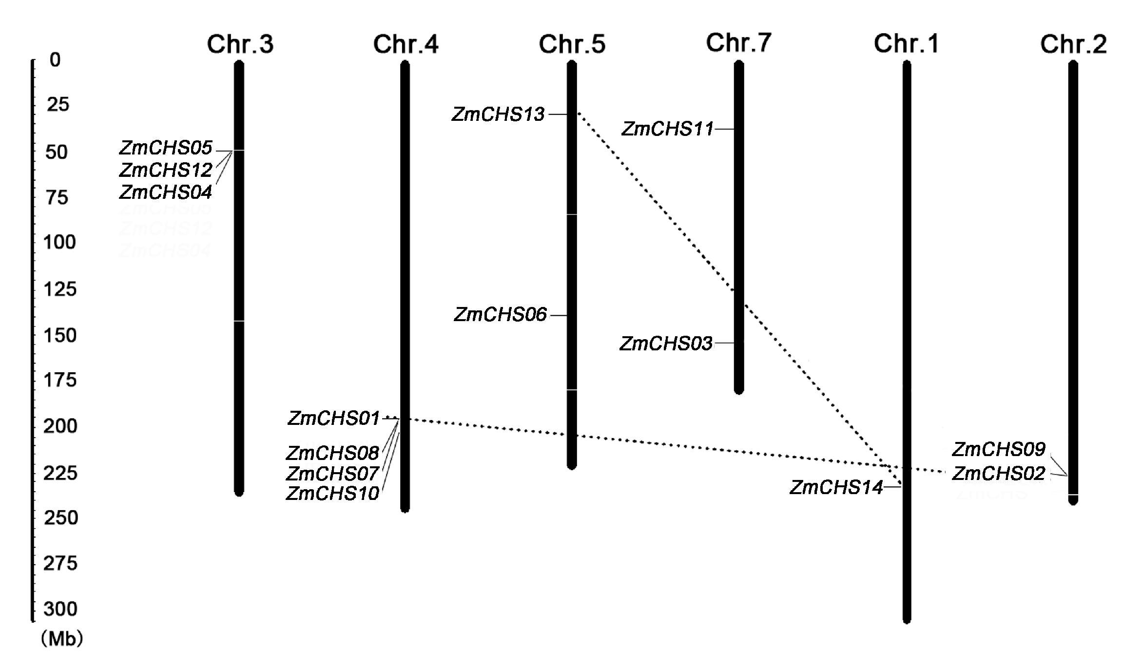 Ijms 17 00161 g004