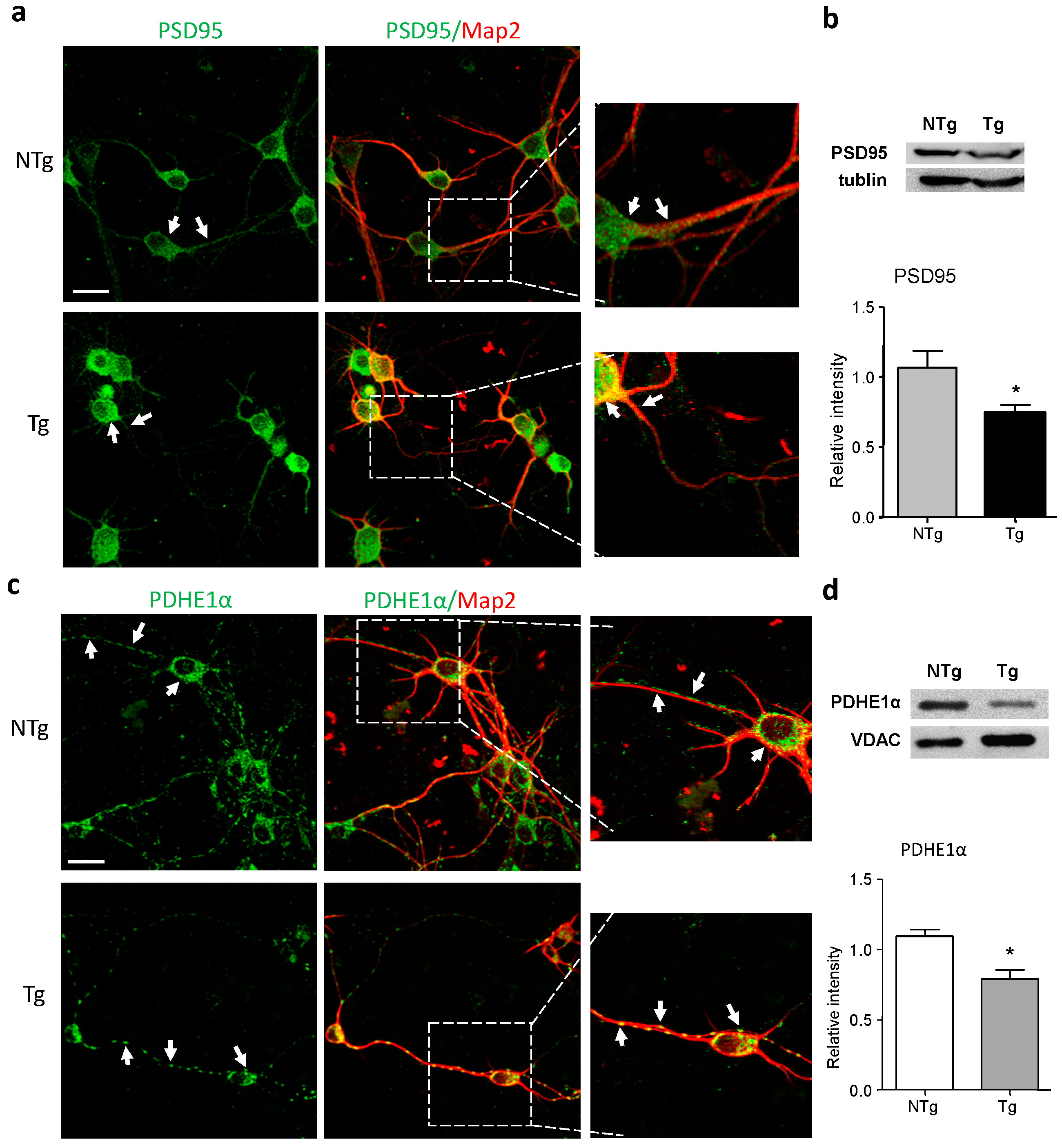 Ijms 17 00163 g002 1024