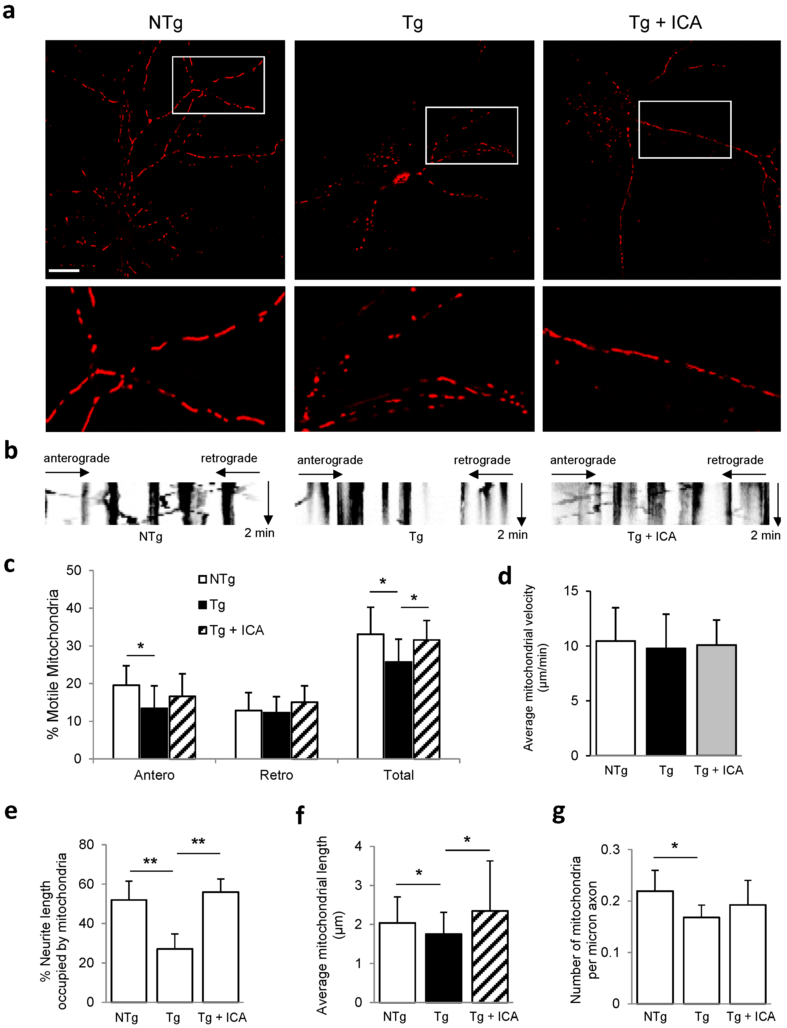 Ijms 17 00163 g003 1024
