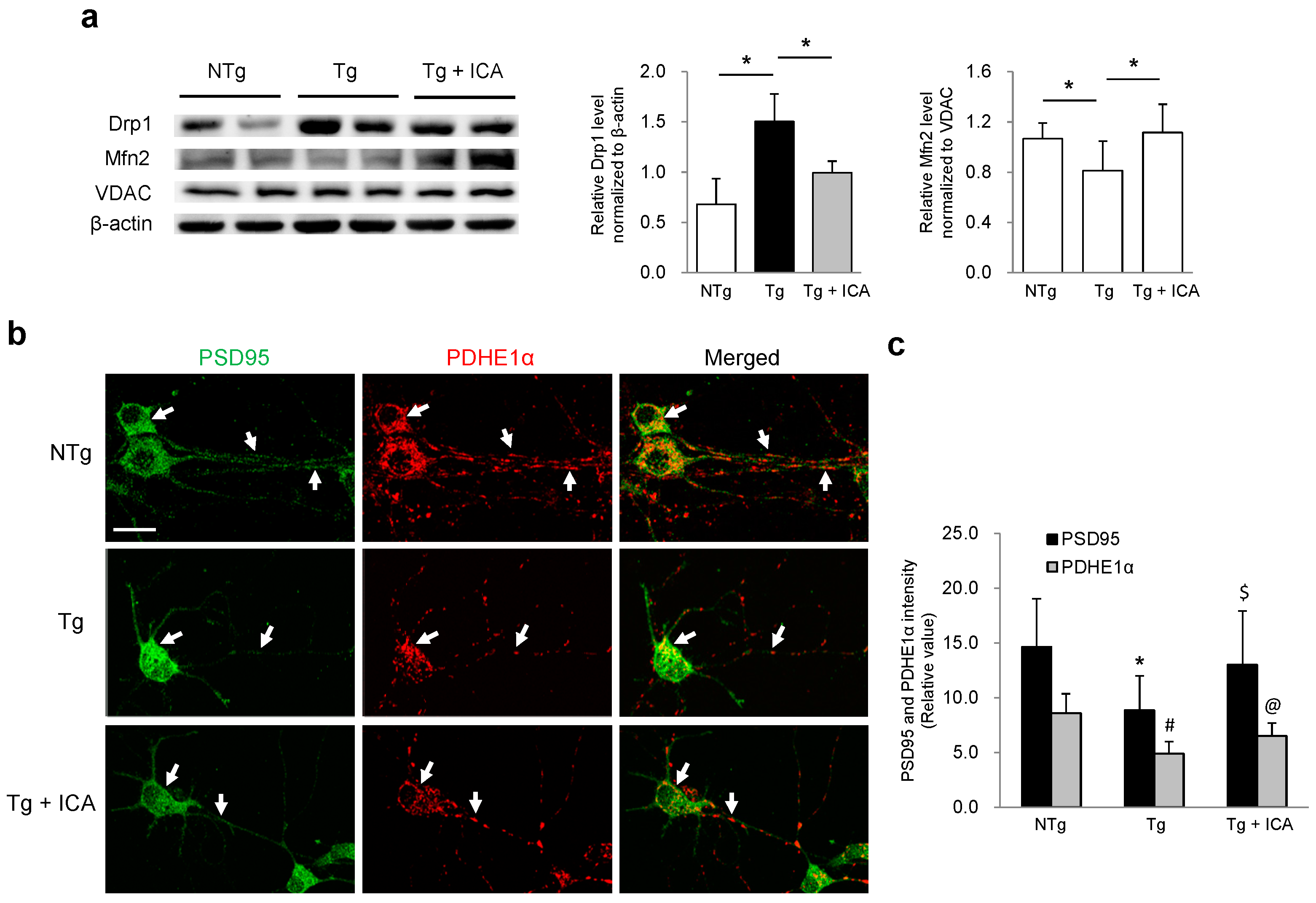 Ijms 17 00163 g004 1024