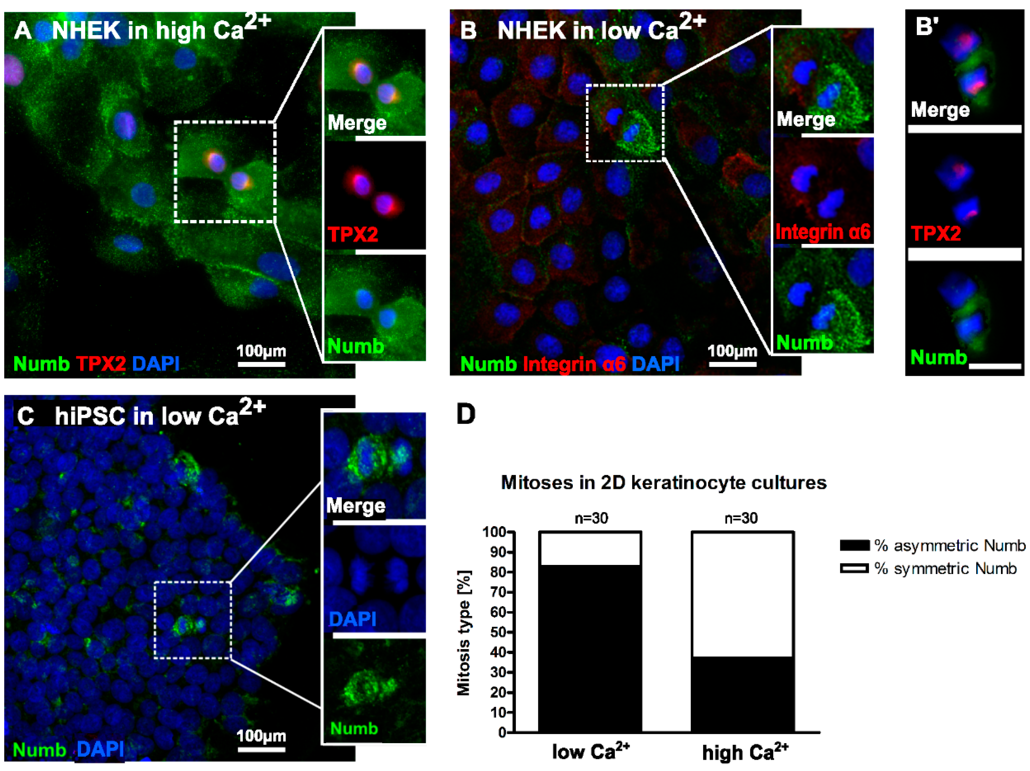 Ijms 17 00167 g004 1024