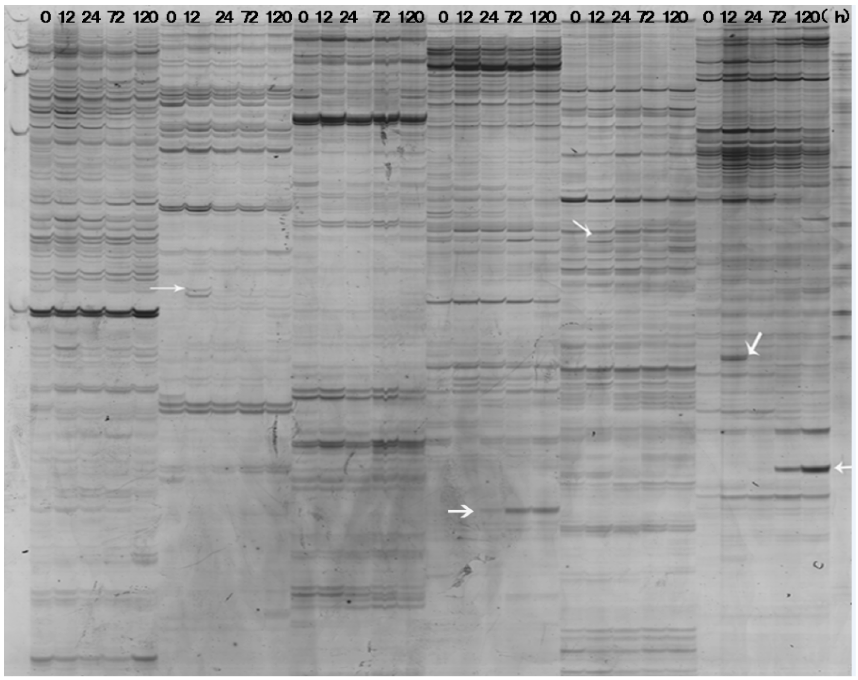 Ijms 17 00181 g002