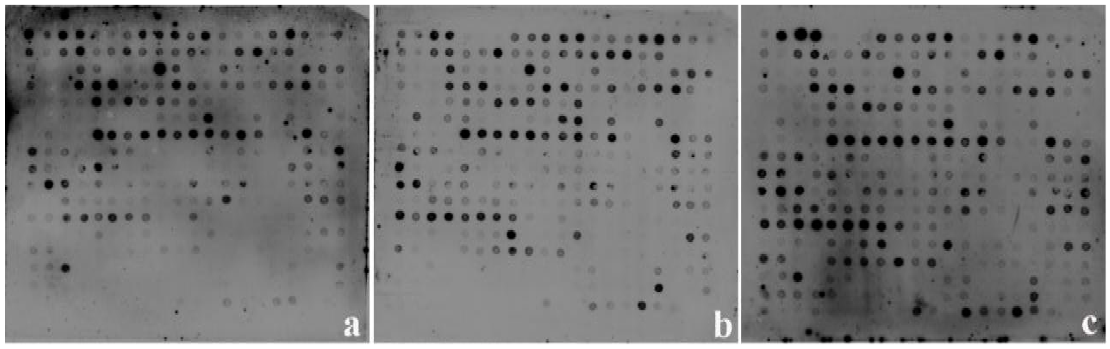 Ijms 17 00181 g003a