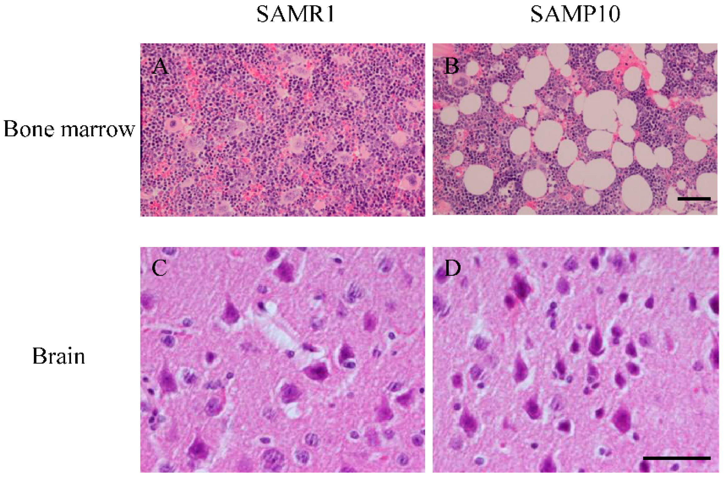 Ijms 17 00183 g004 1024