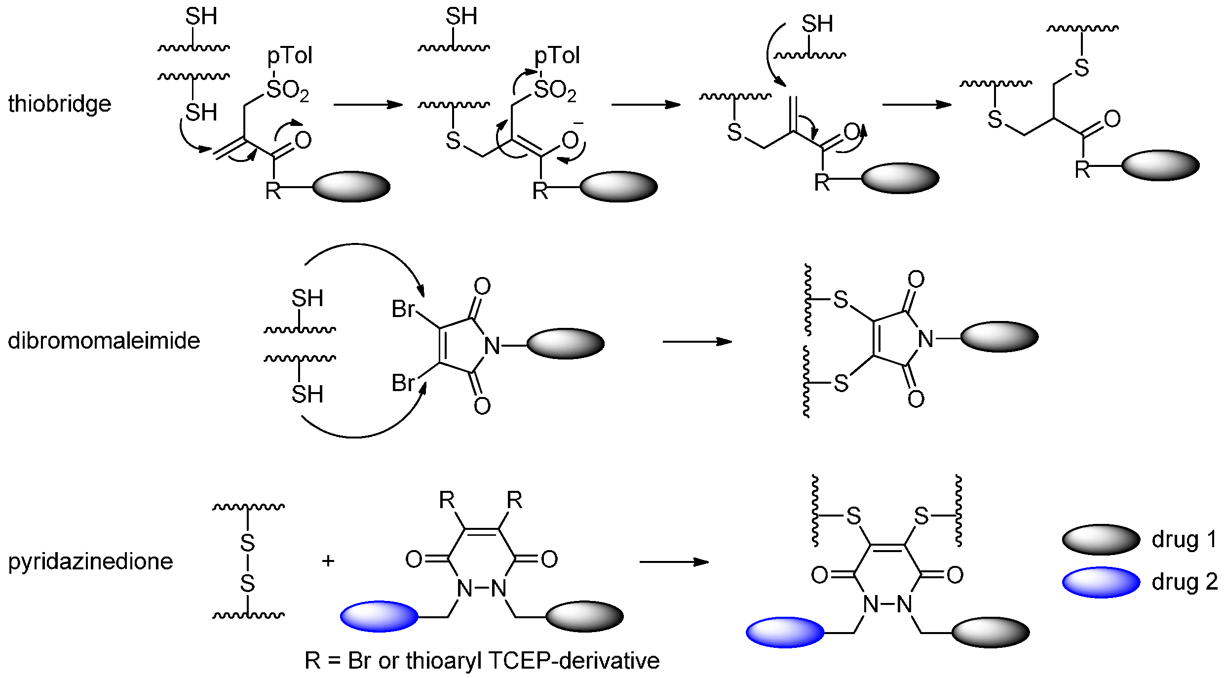 Ijms 17 00194 g006 1024