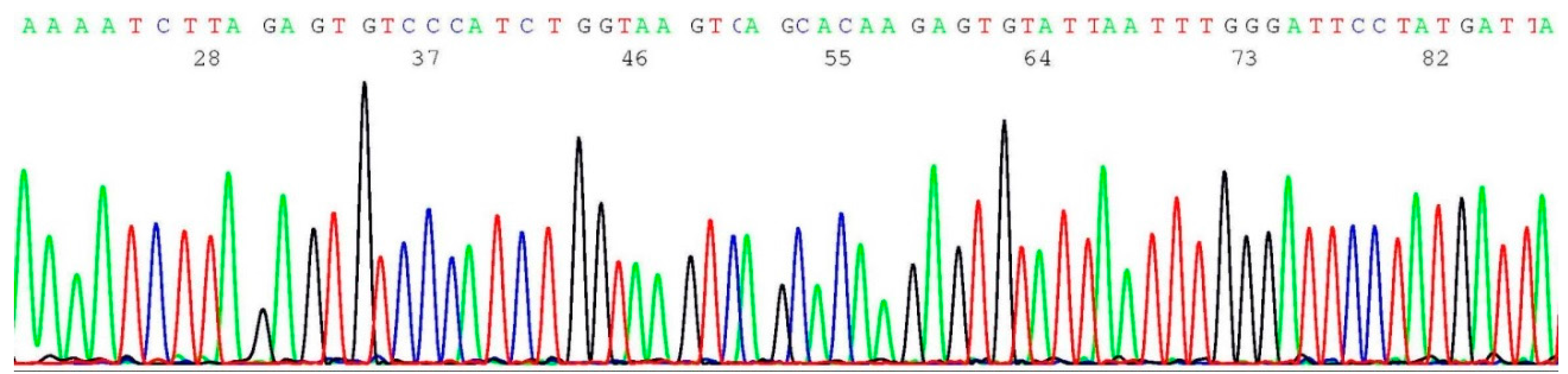 Ijms 17 00229 g003