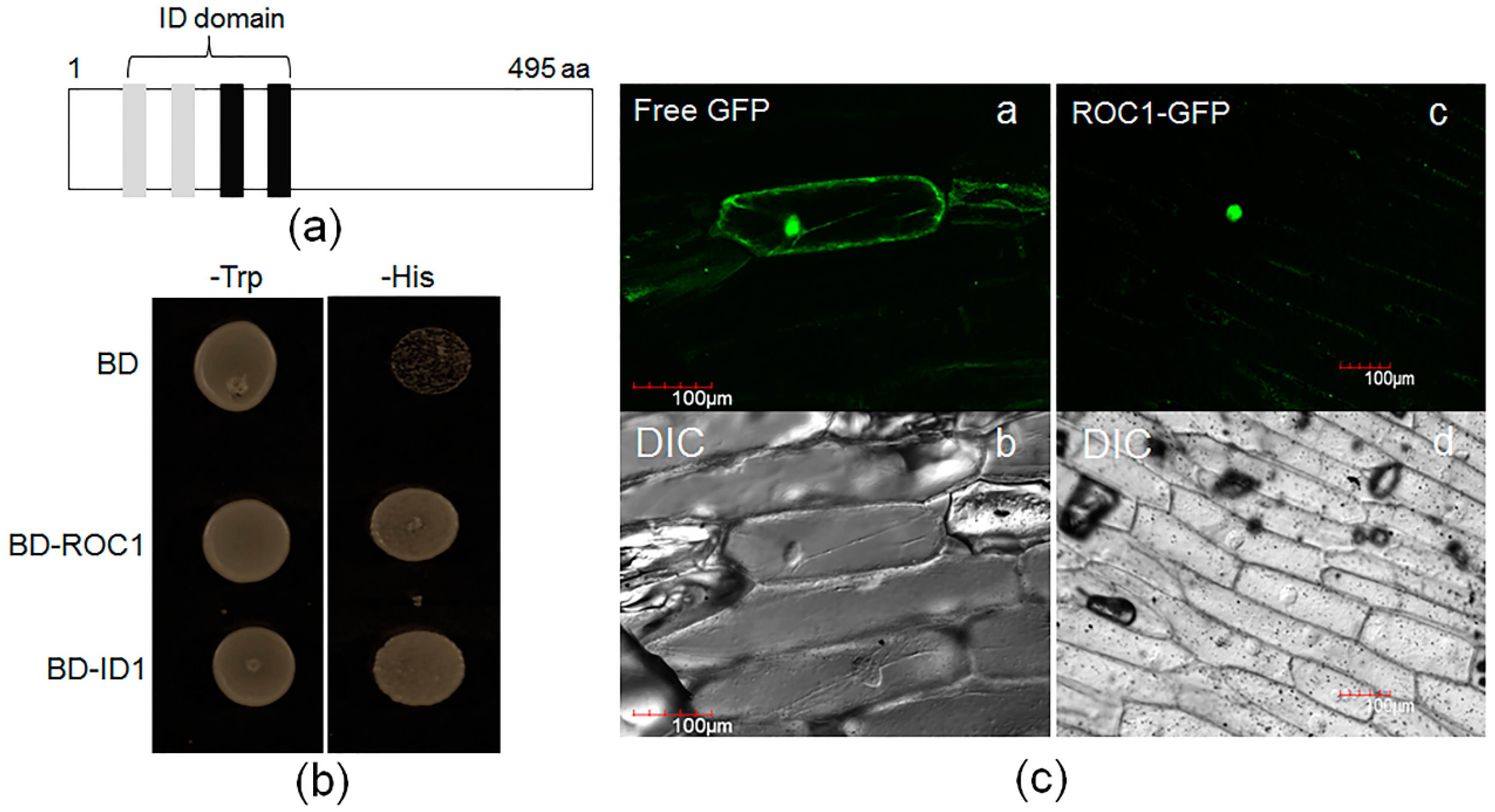 Ijms 17 00233 g003