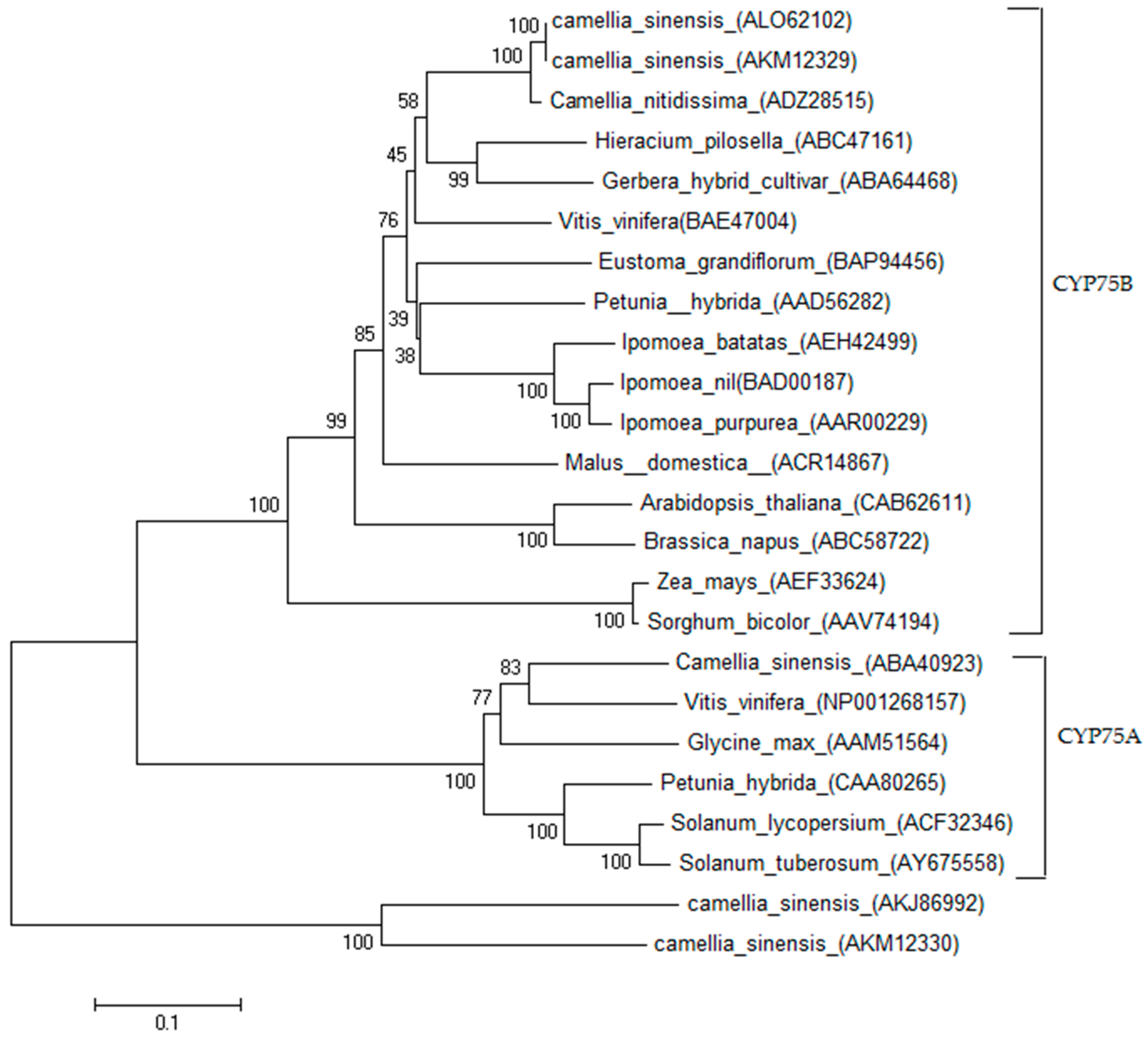 Ijms 17 00261 g003