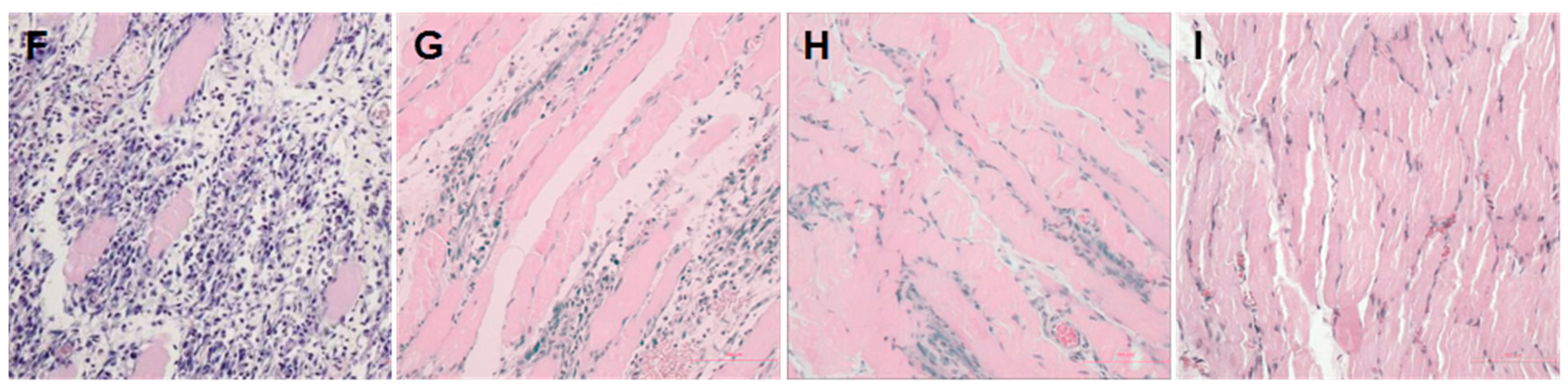 Ijms 17 00284 g002b 1024