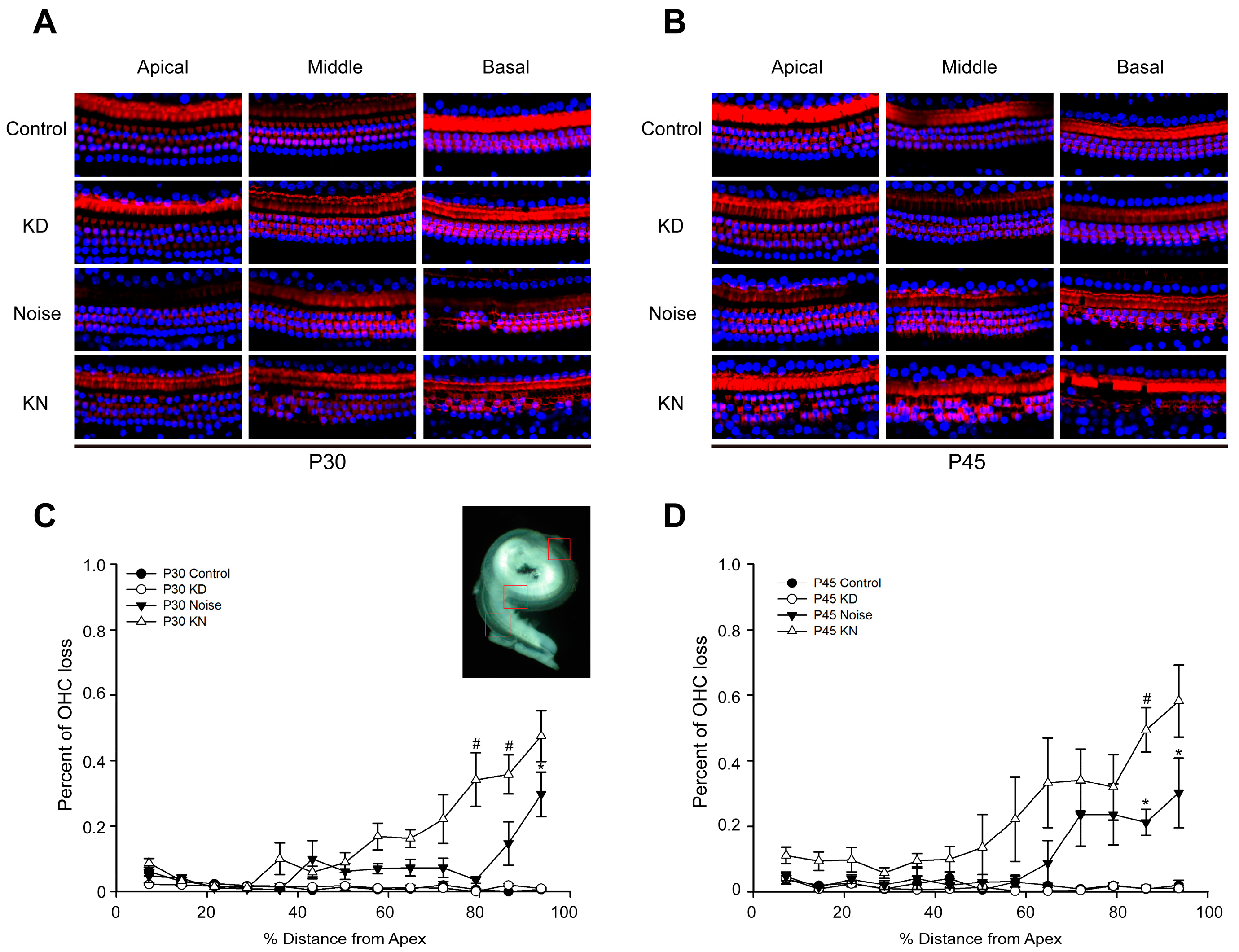 Ijms 17 00301 g003 1024