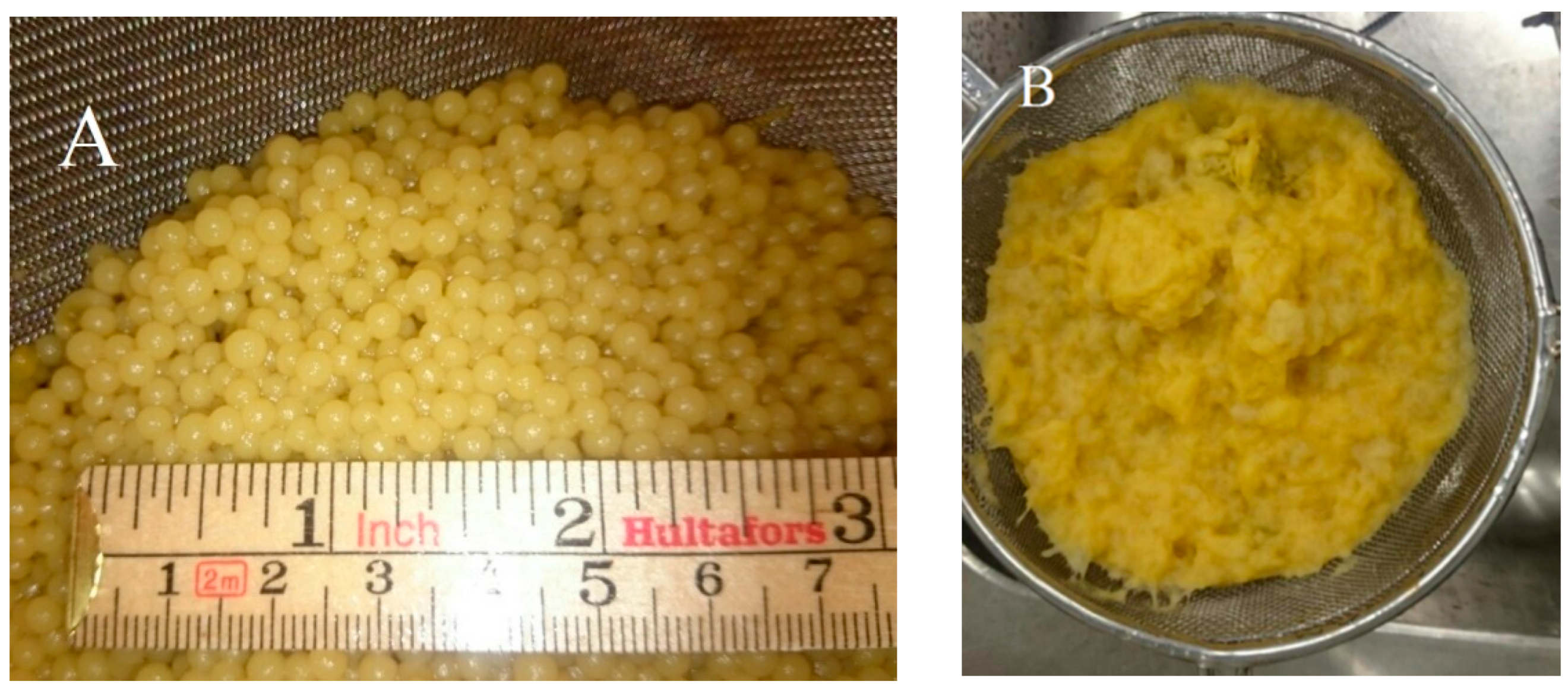 Ijms 17 00302 g006 1024