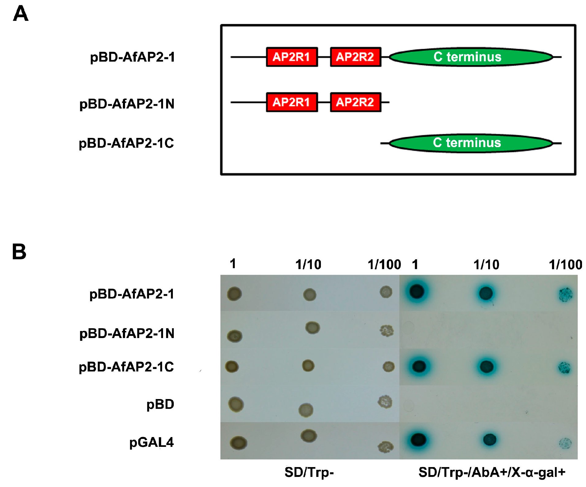 Ijms 17 00303 g004