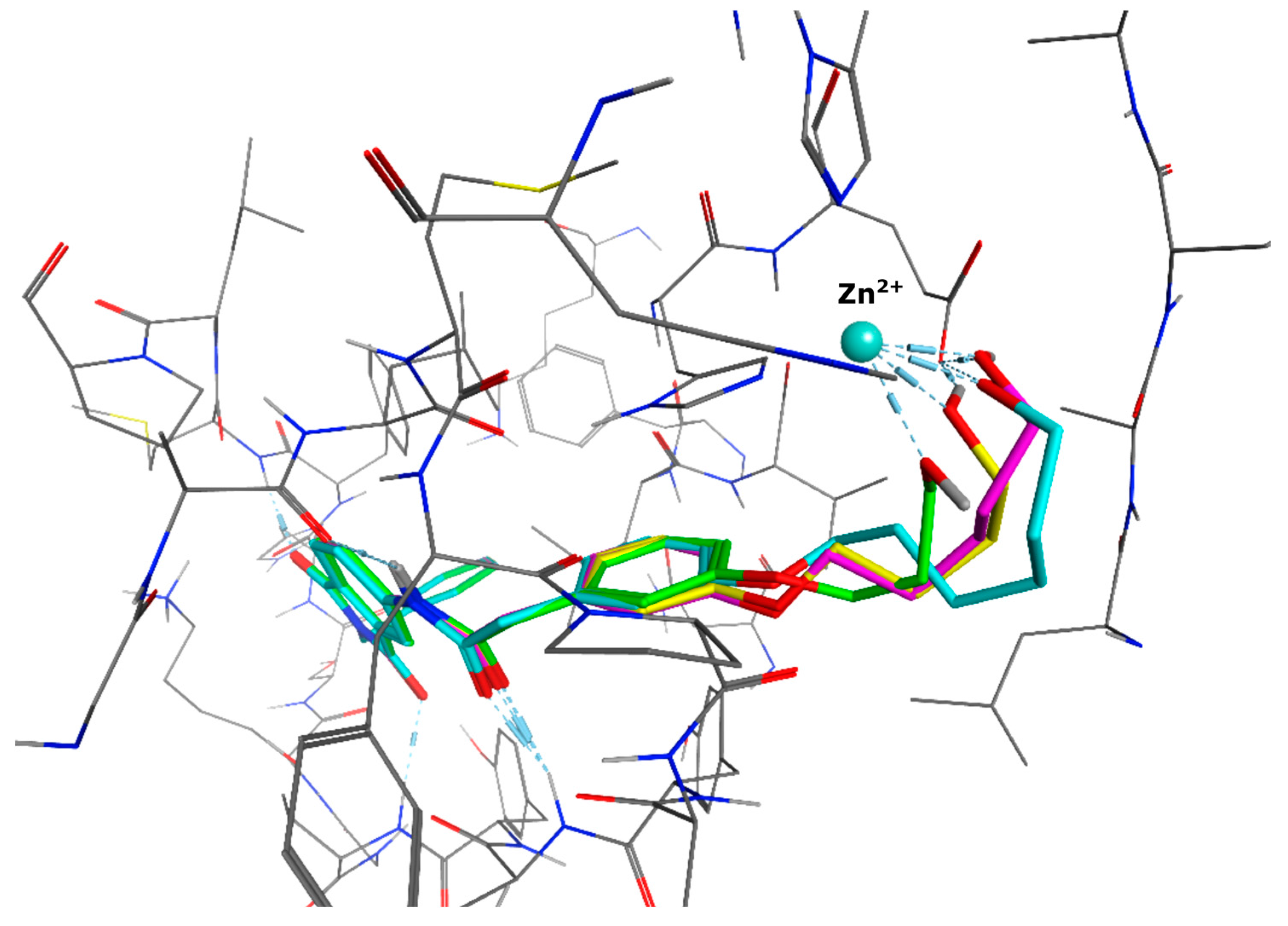 Ijms 17 00314 g003 1024