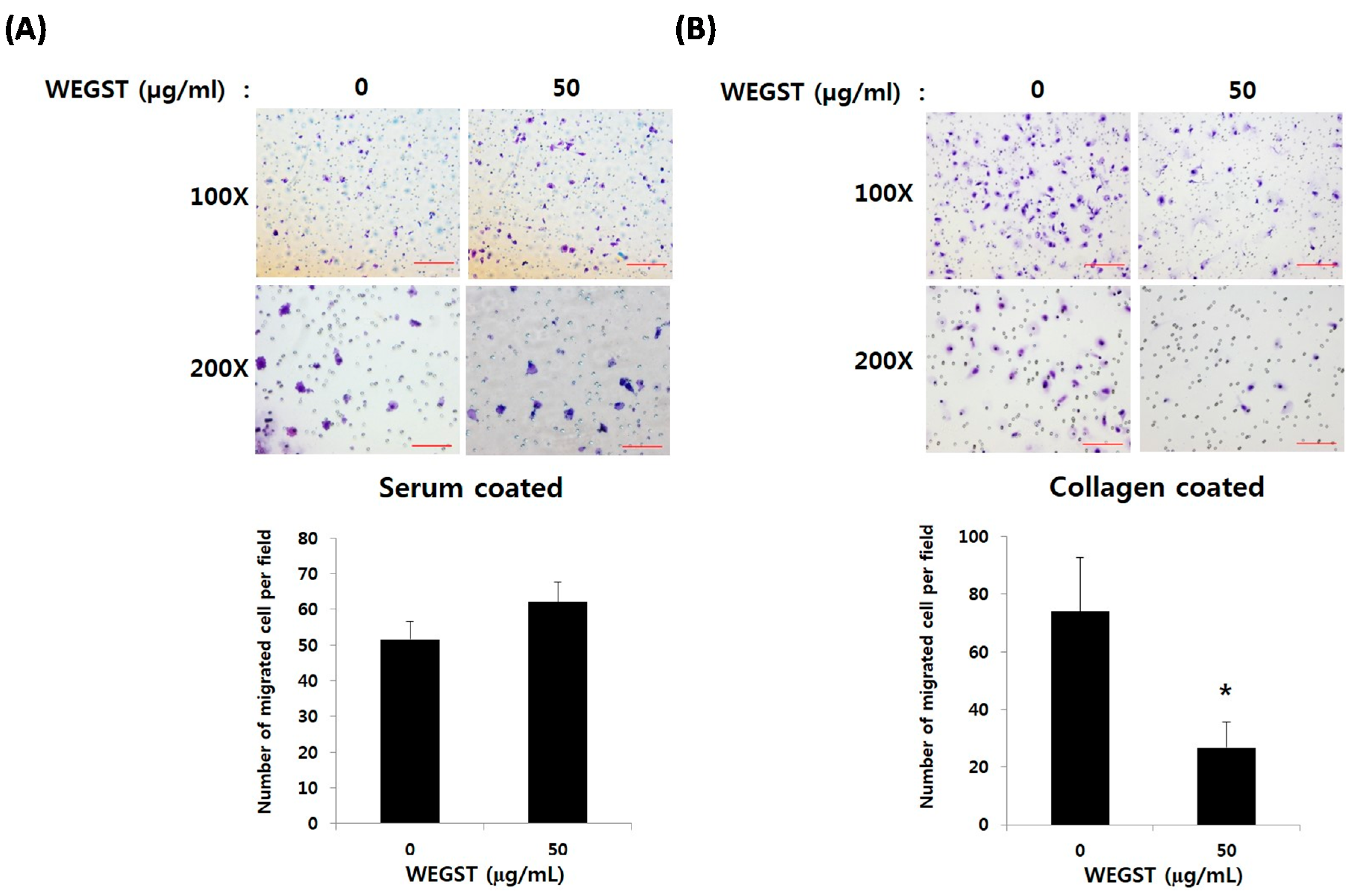 Ijms 17 00328 g002 1024