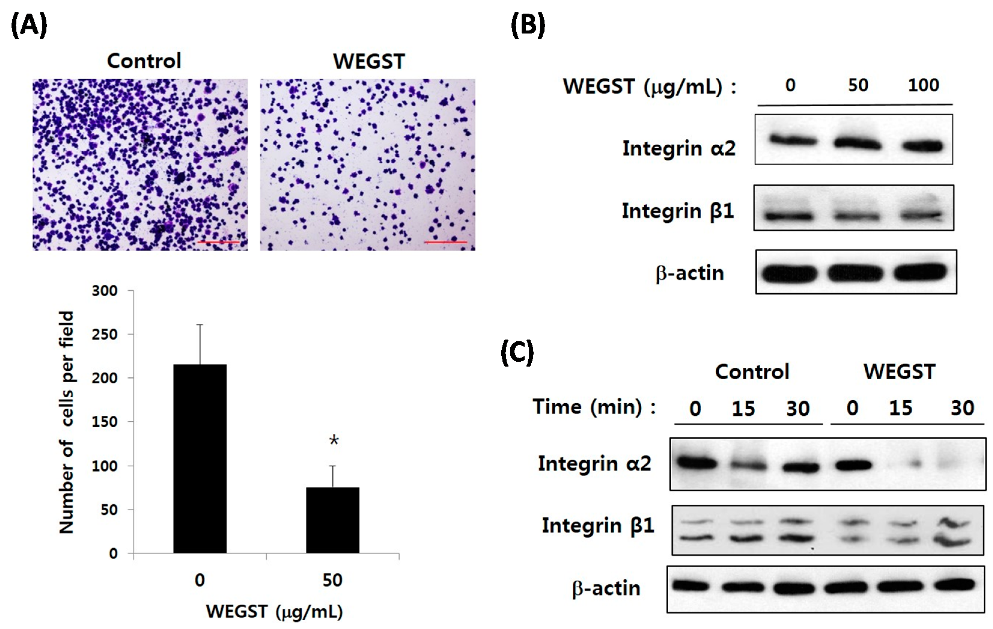 Ijms 17 00328 g003 1024