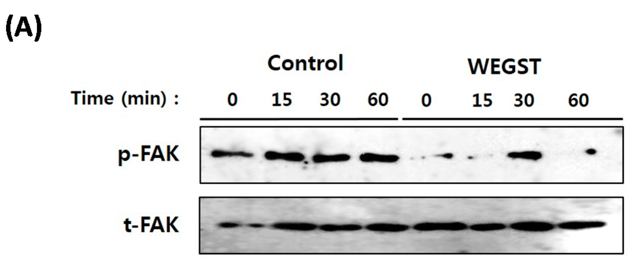 Ijms 17 00328 g004a 1024