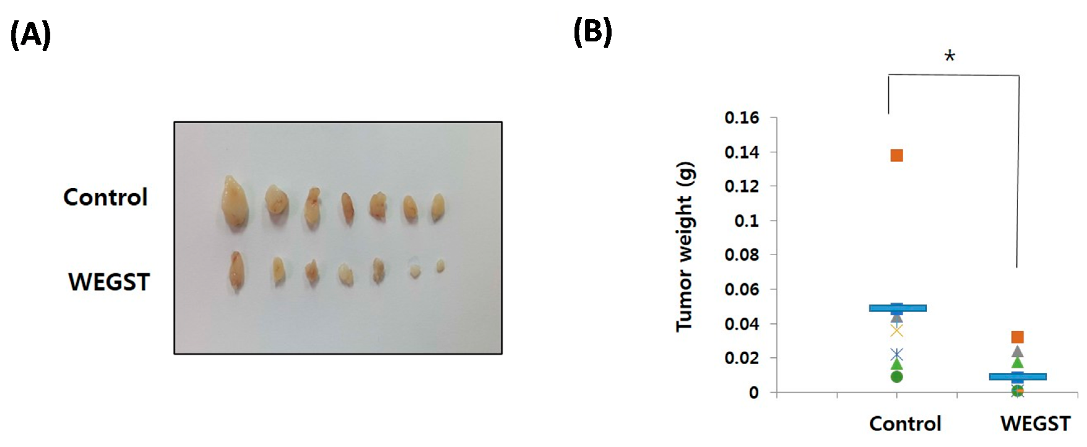 Ijms 17 00328 g005a 1024