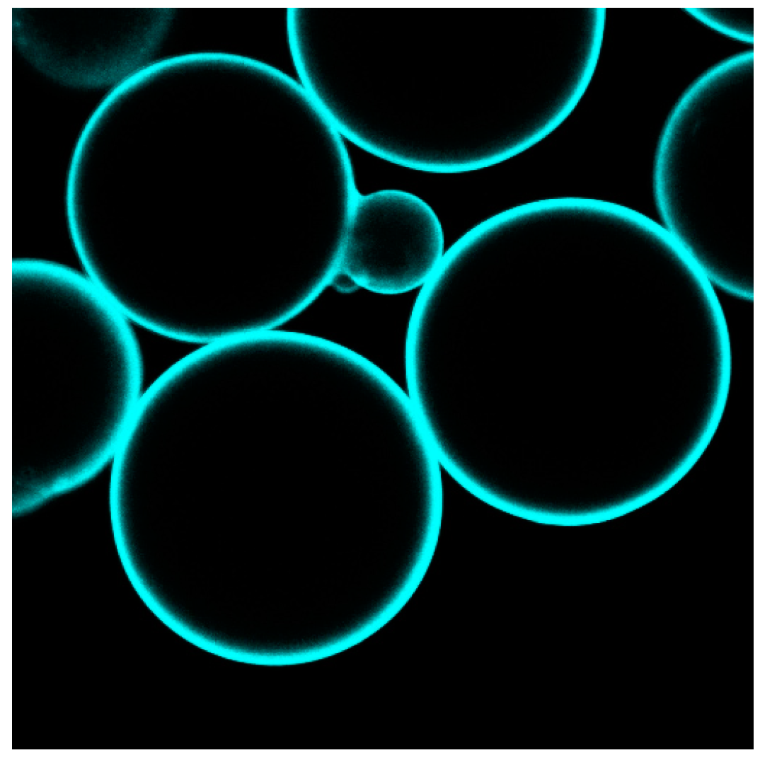 Ijms 17 00330 g008