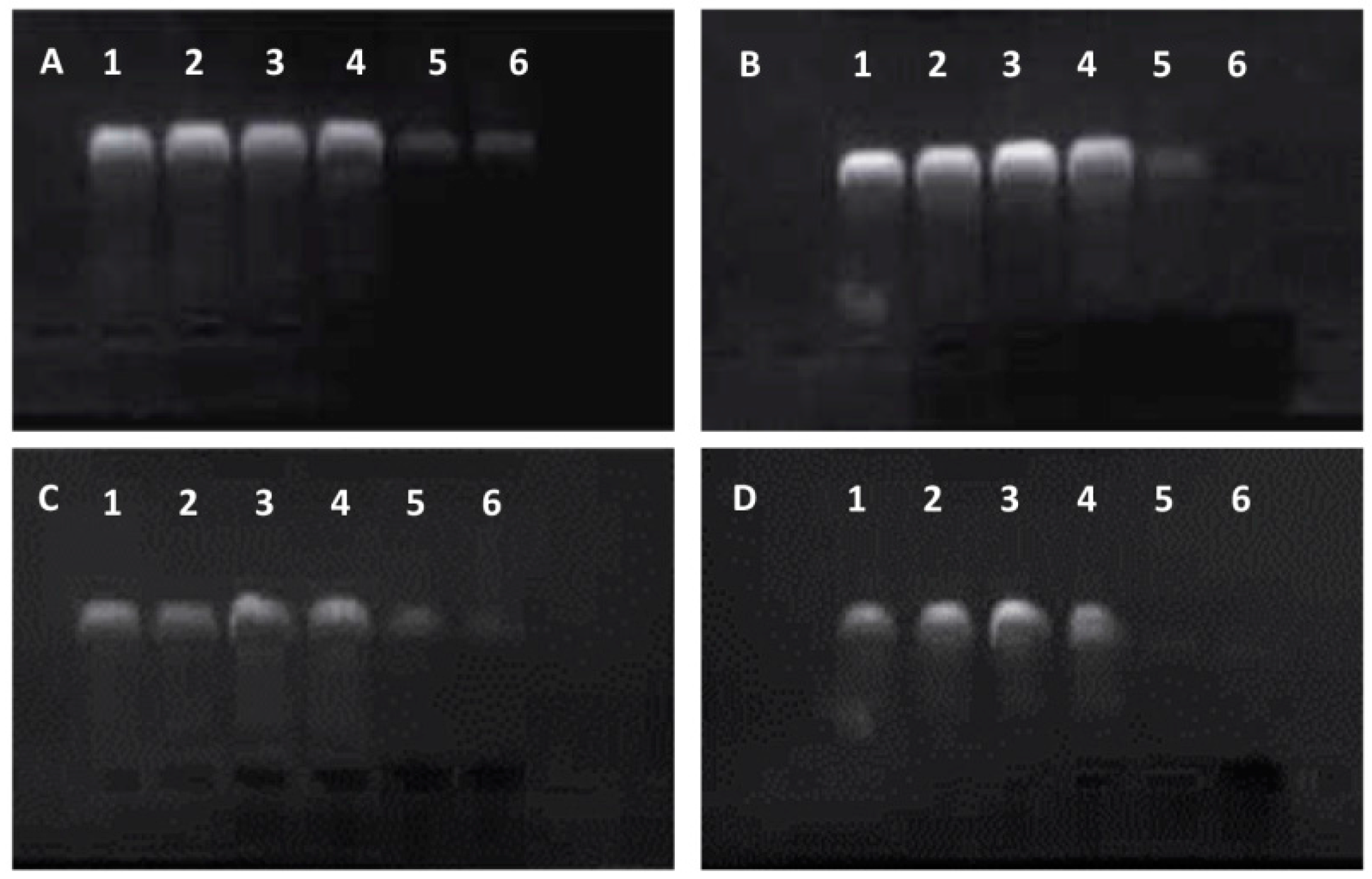 Ijms 17 00335 g003 1024