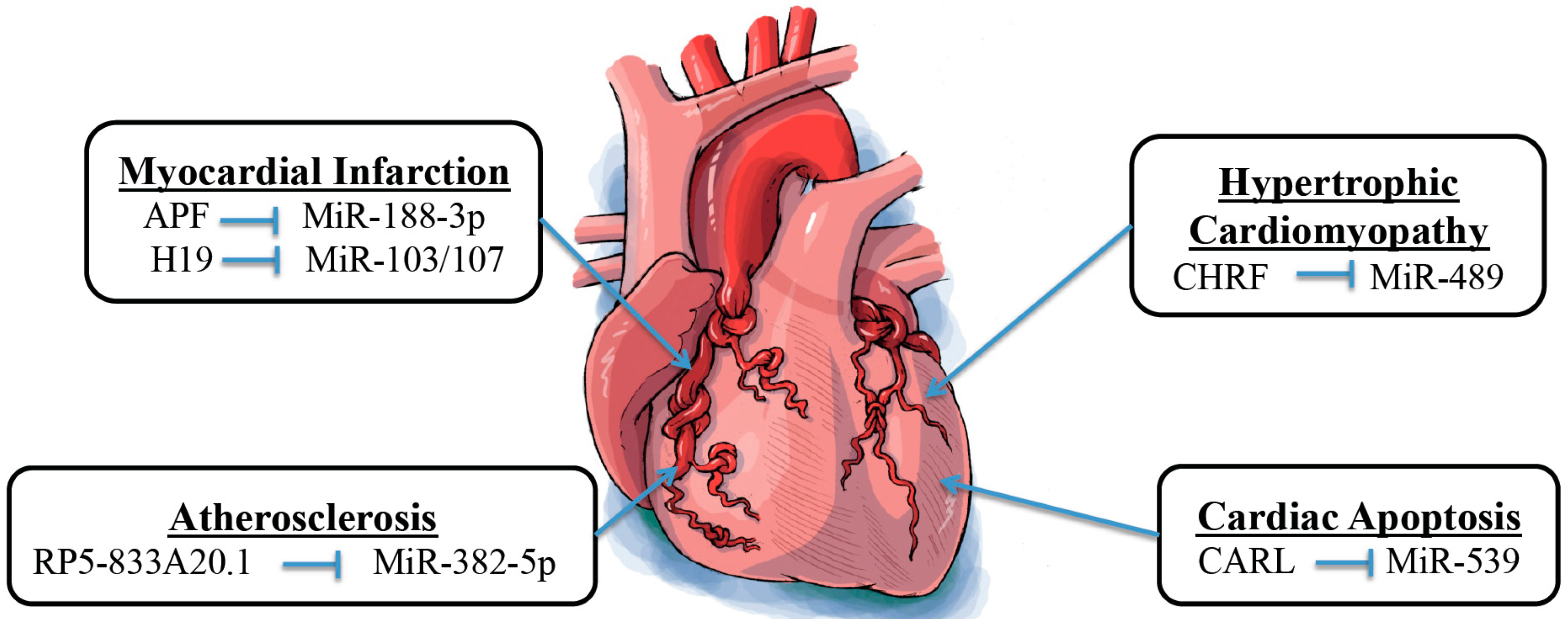 Ijms 17 00356 g002 1024