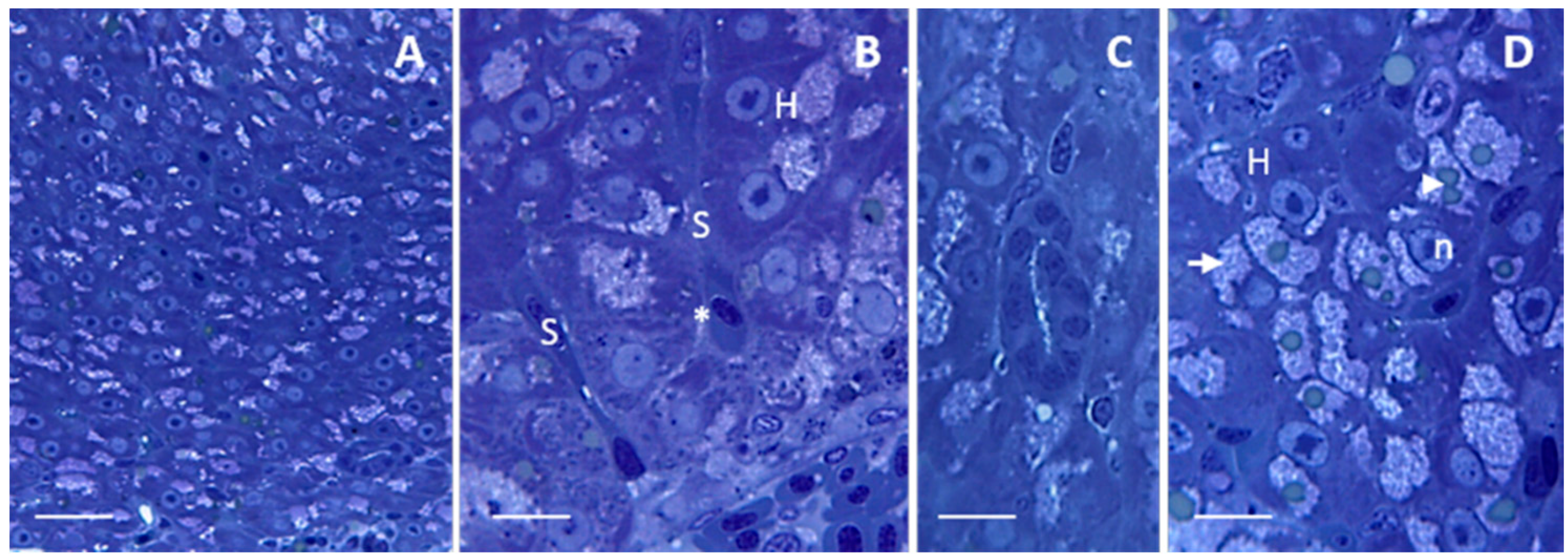 Ijms 17 00361 g001