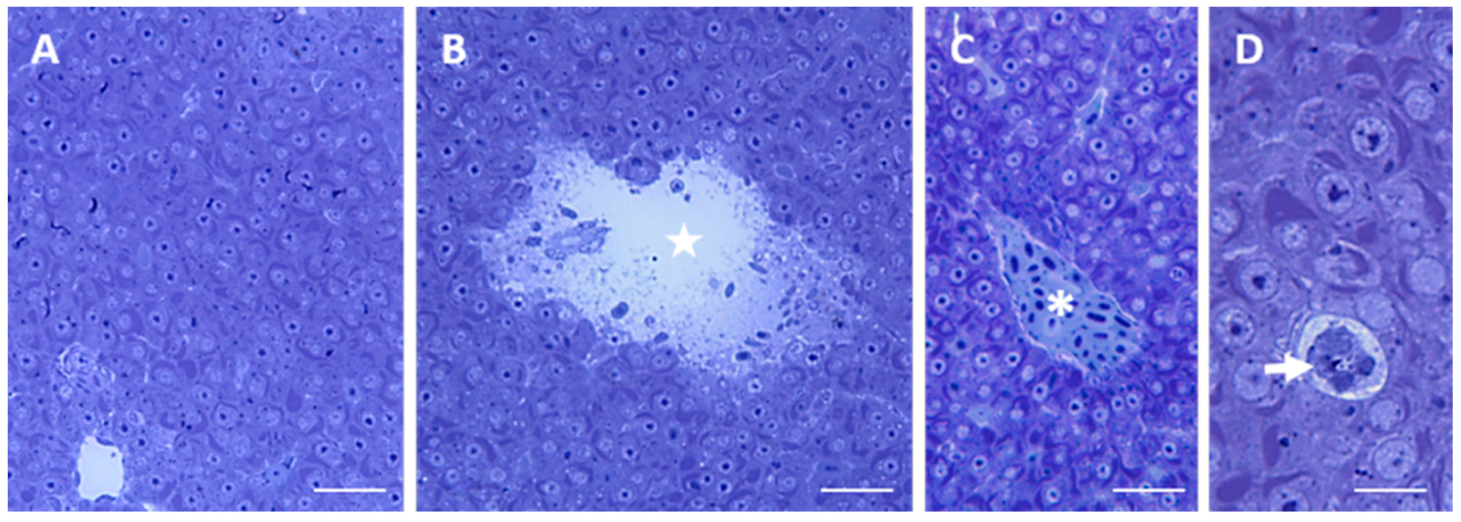 Ijms 17 00361 g005